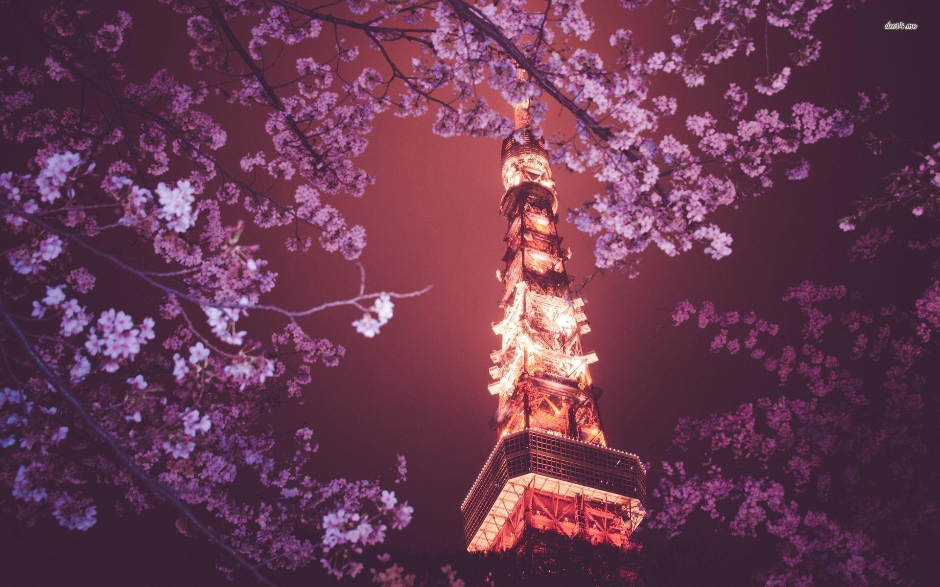 Tokyo Tower, Reisen, Kirschblüten, Japan, Sehenswürdigkeit, 1920x1200 HD Desktop