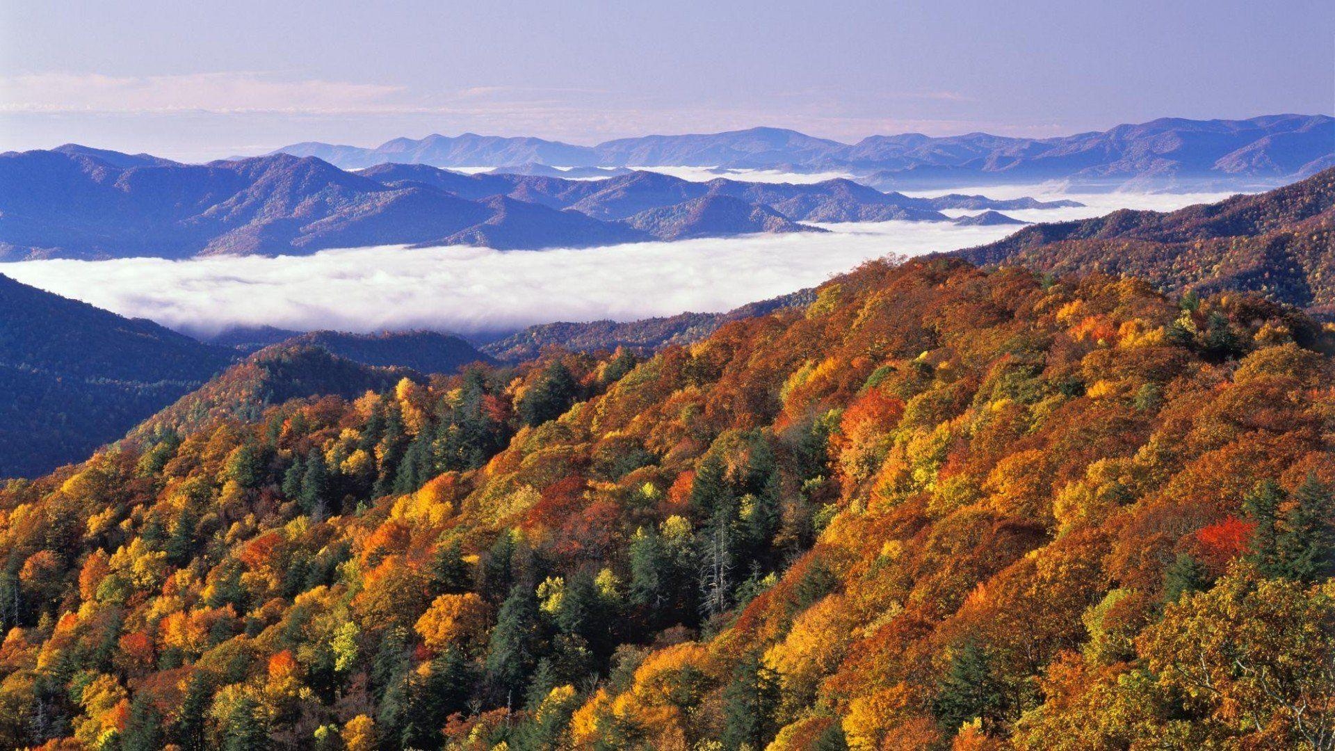 Great Smoky Mountains, Nationalpark, USA, Natur, Reisen, 1920x1080 Full HD Desktop