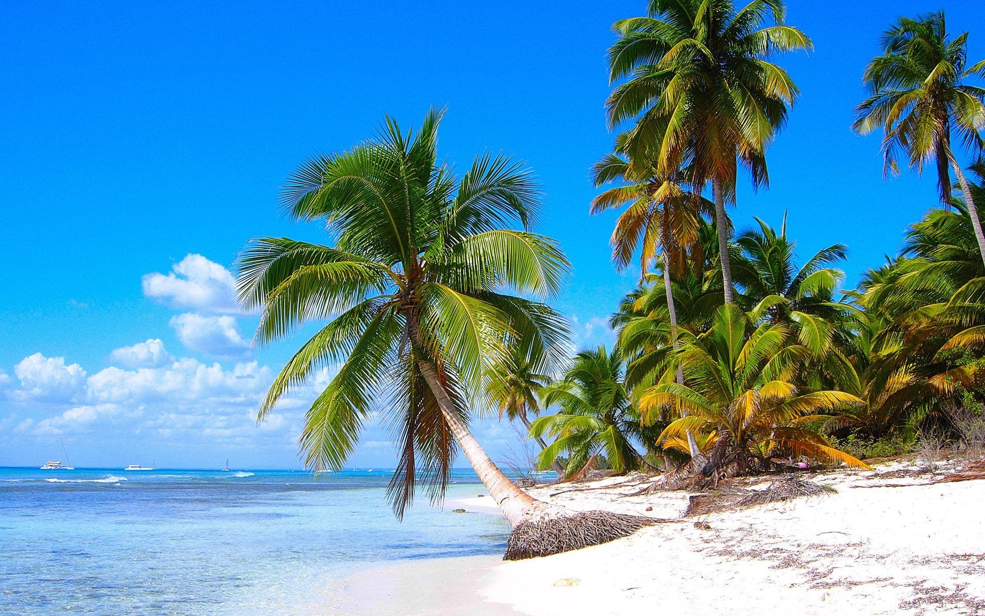 Saona Island, Strand, La Altagracia, Dominikanische Republik, Reise, 1920x1200 HD Desktop