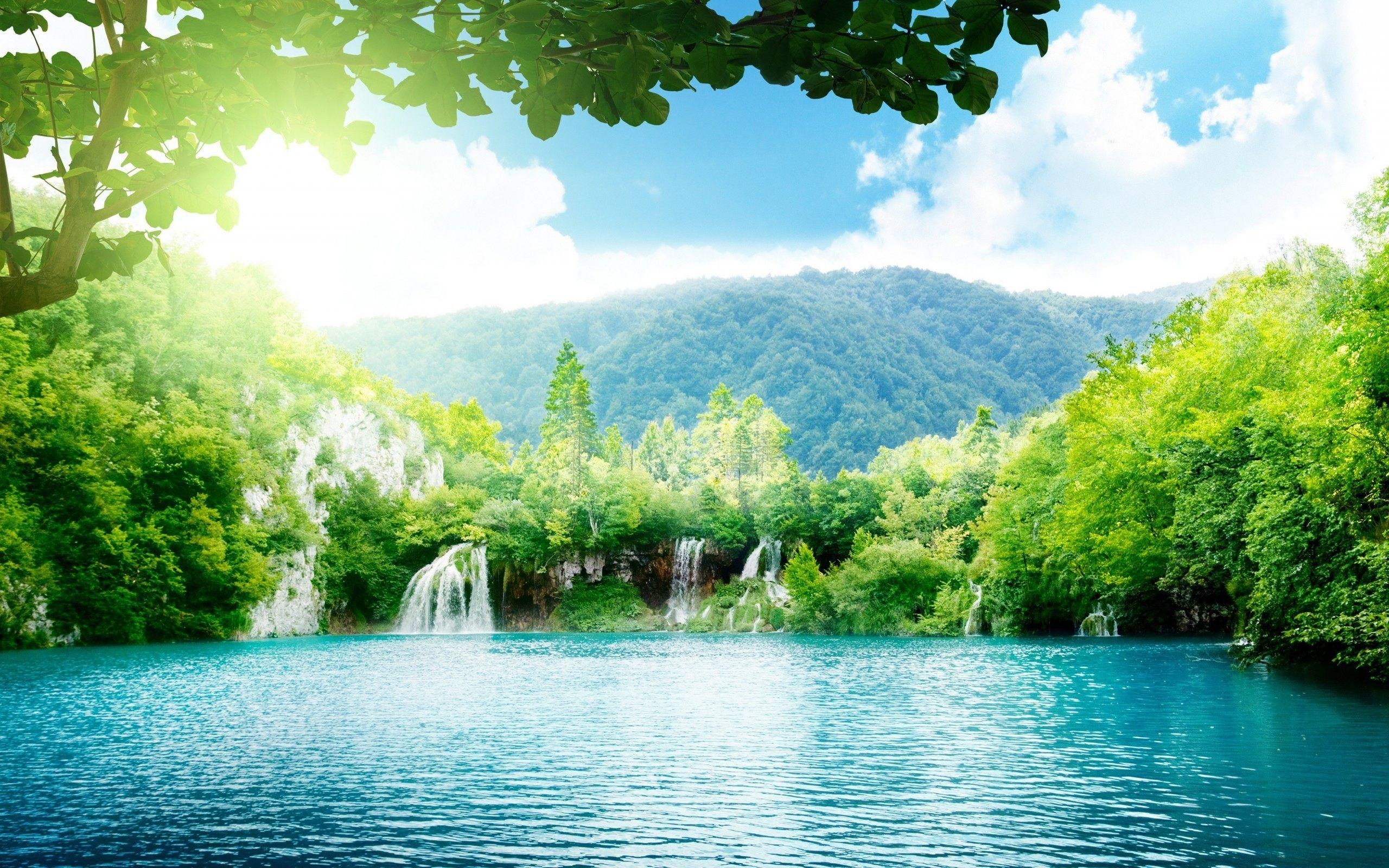 Wald, Wasserfall, HD, Natur, Hintergrund, 2560x1600 HD Desktop