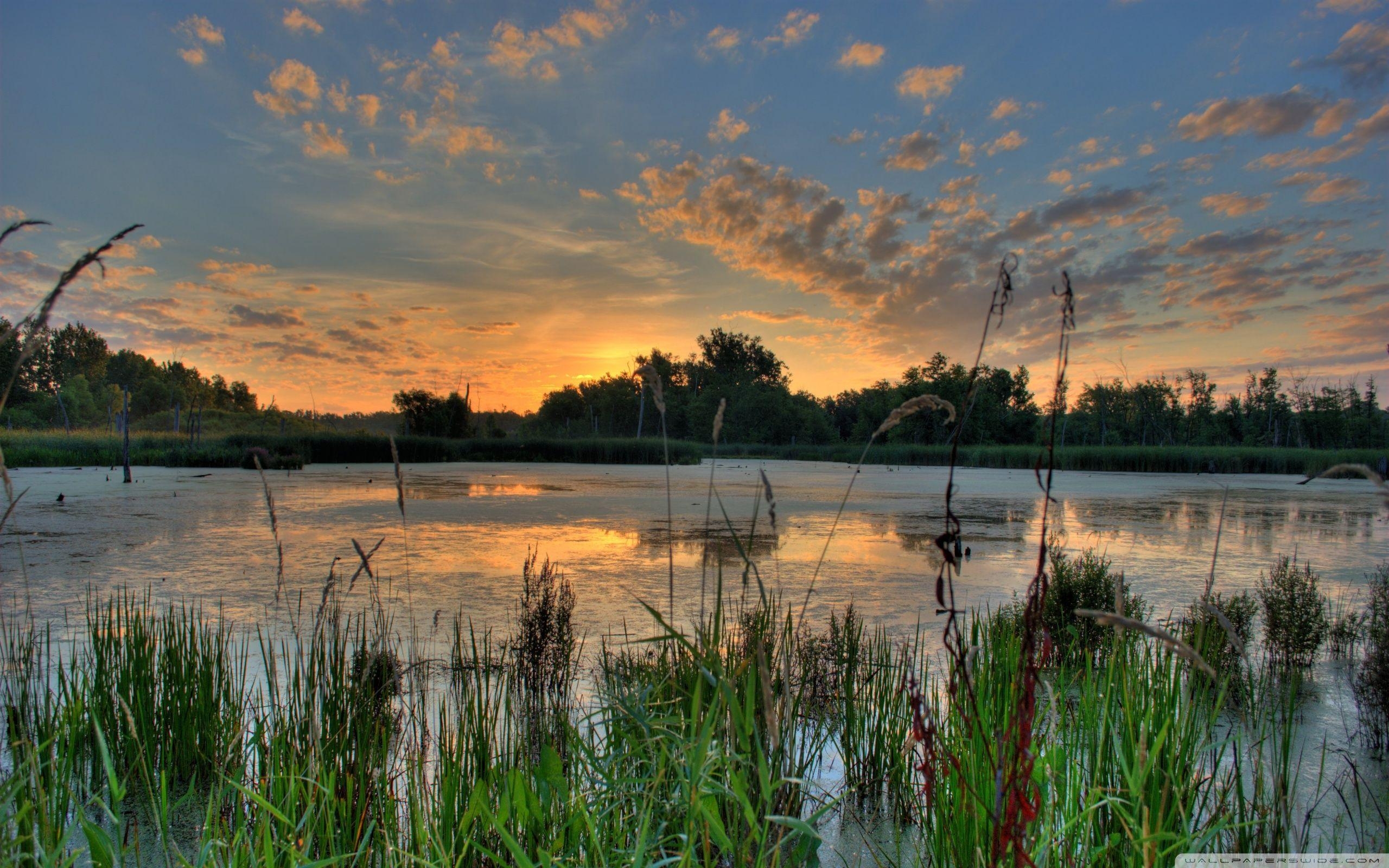 Sonnenaufgang, Minnesota, Teich, Naturschutzgebiet, Fluss, 2560x1600 HD Desktop