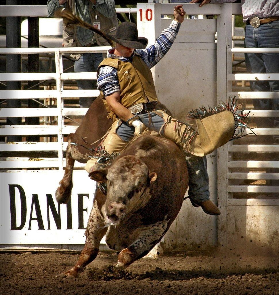 Clackamas, Rodeo-Events, Molalla Buckeroo, Festival, Westen, 970x1030 HD Handy