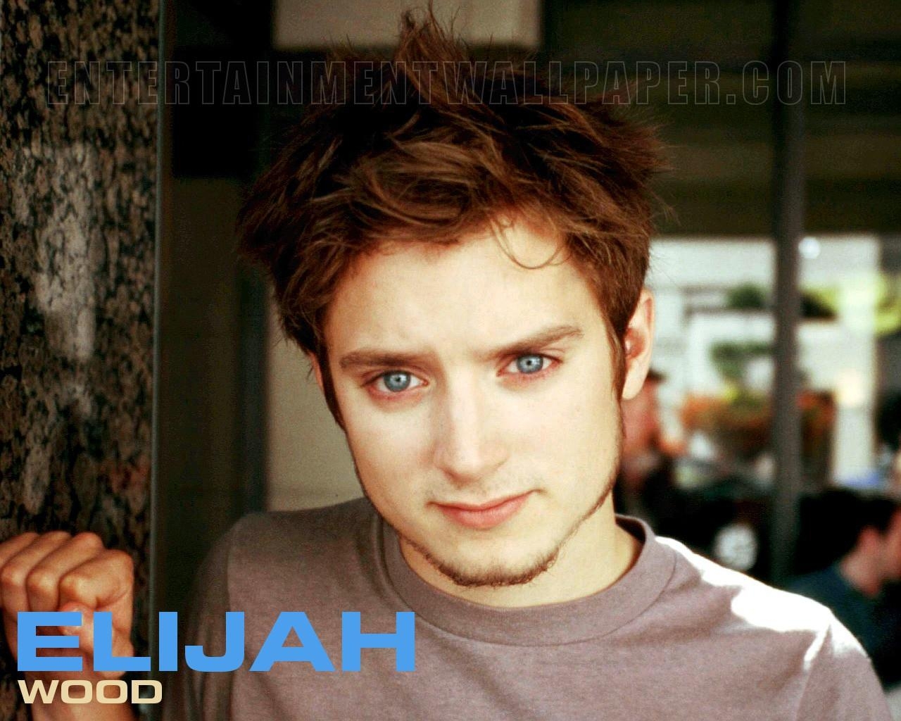 Elijah Wood, Foto, 1024x, Bildschirm, Film, 1280x1030 HD Desktop