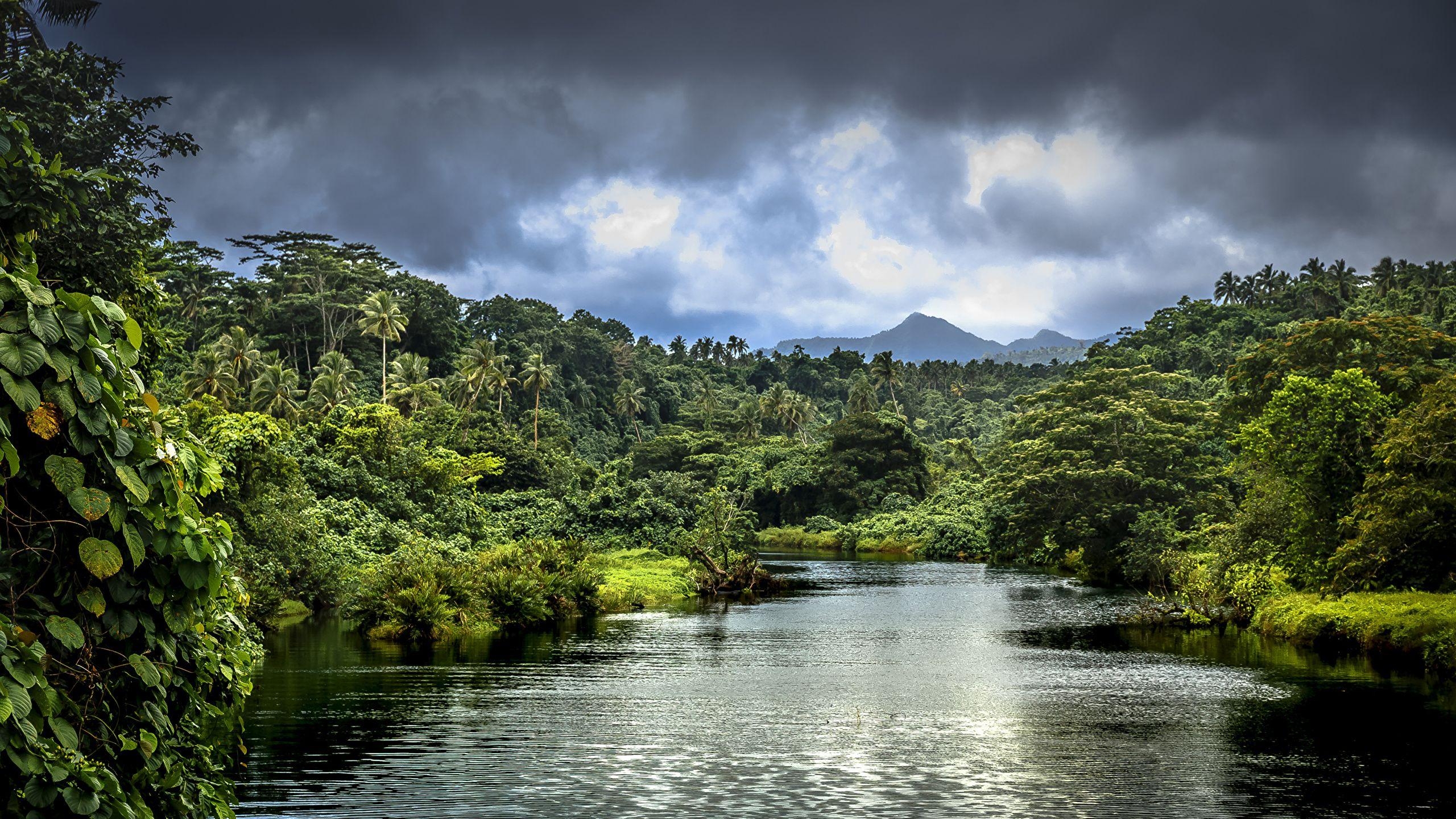 Samoa Natur, Wälder, Tropen, Flüsse, Landschaften, 2560x1440 HD Desktop