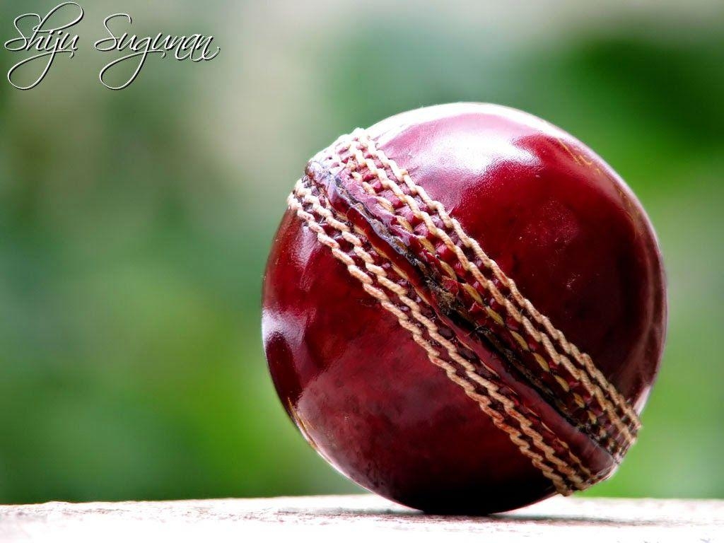 Beste, Cricket, Hintergrund, Bild, Spielfeld, 1030x770 HD Desktop