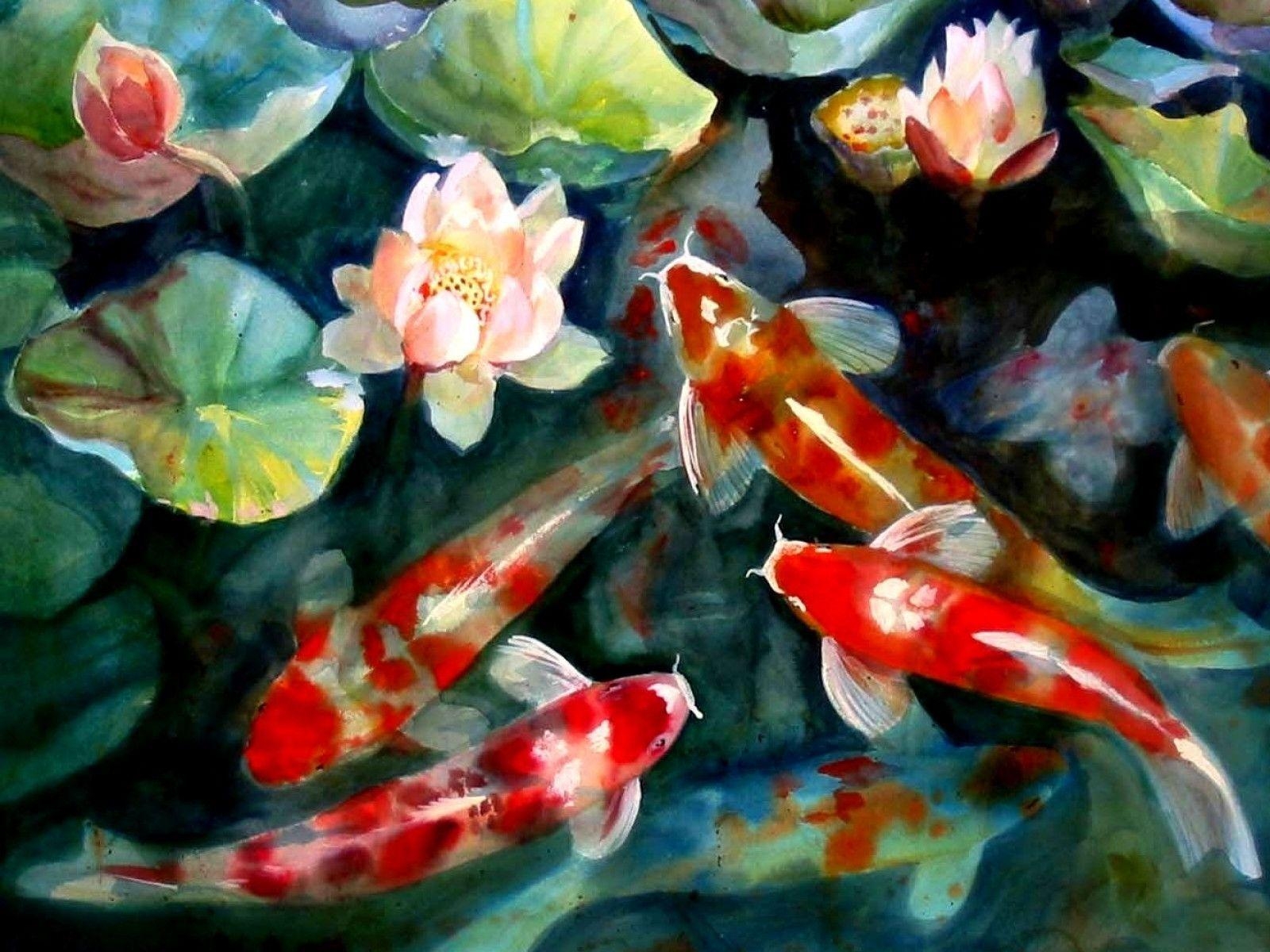 Koi, Fische, Hintergrund, Unterwasser, Karpfen, 1600x1200 HD Desktop