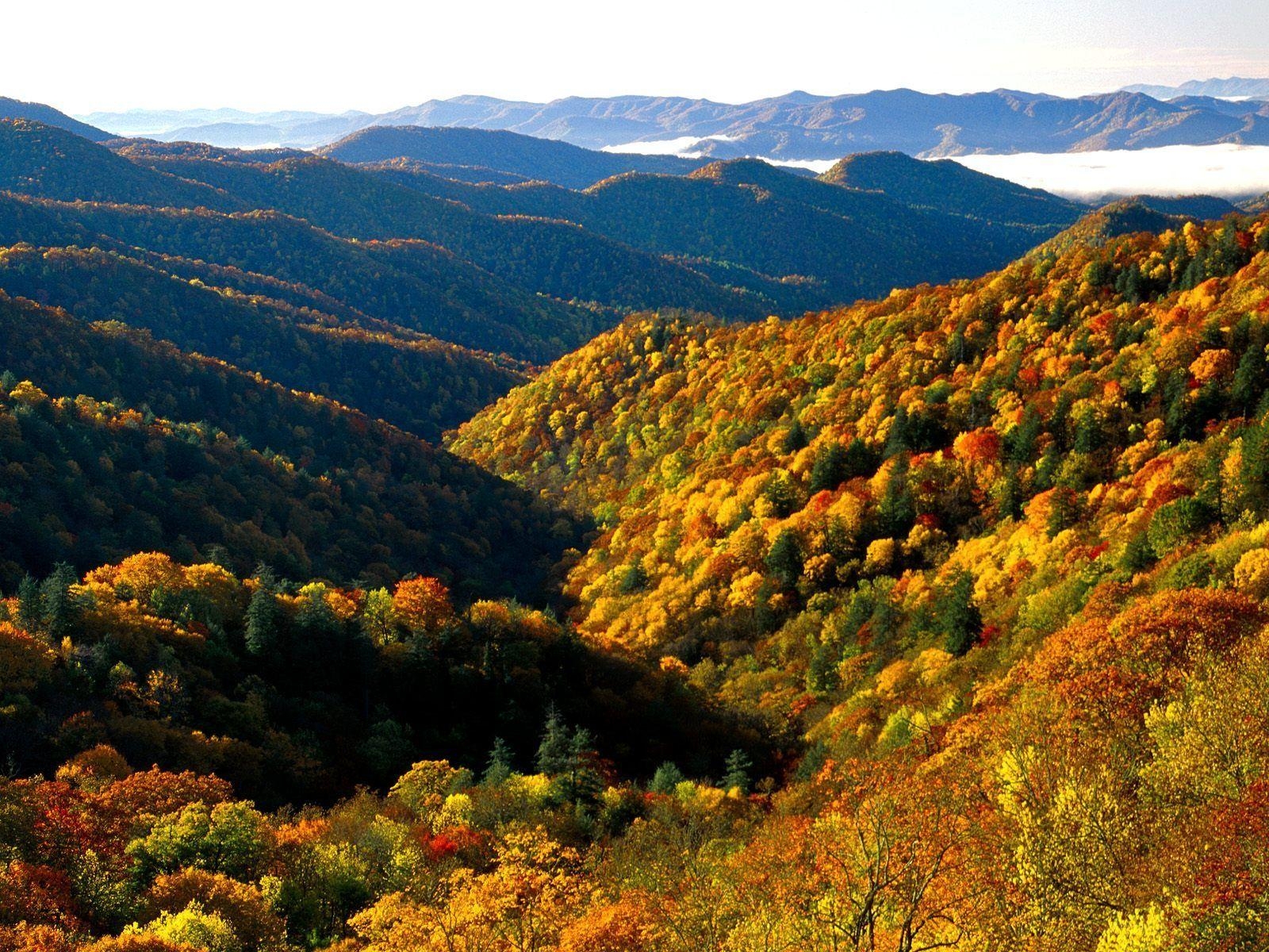 Tennessee, Smoky Mountains, Szenen, Natur, Nationalpark, 1600x1200 HD Desktop