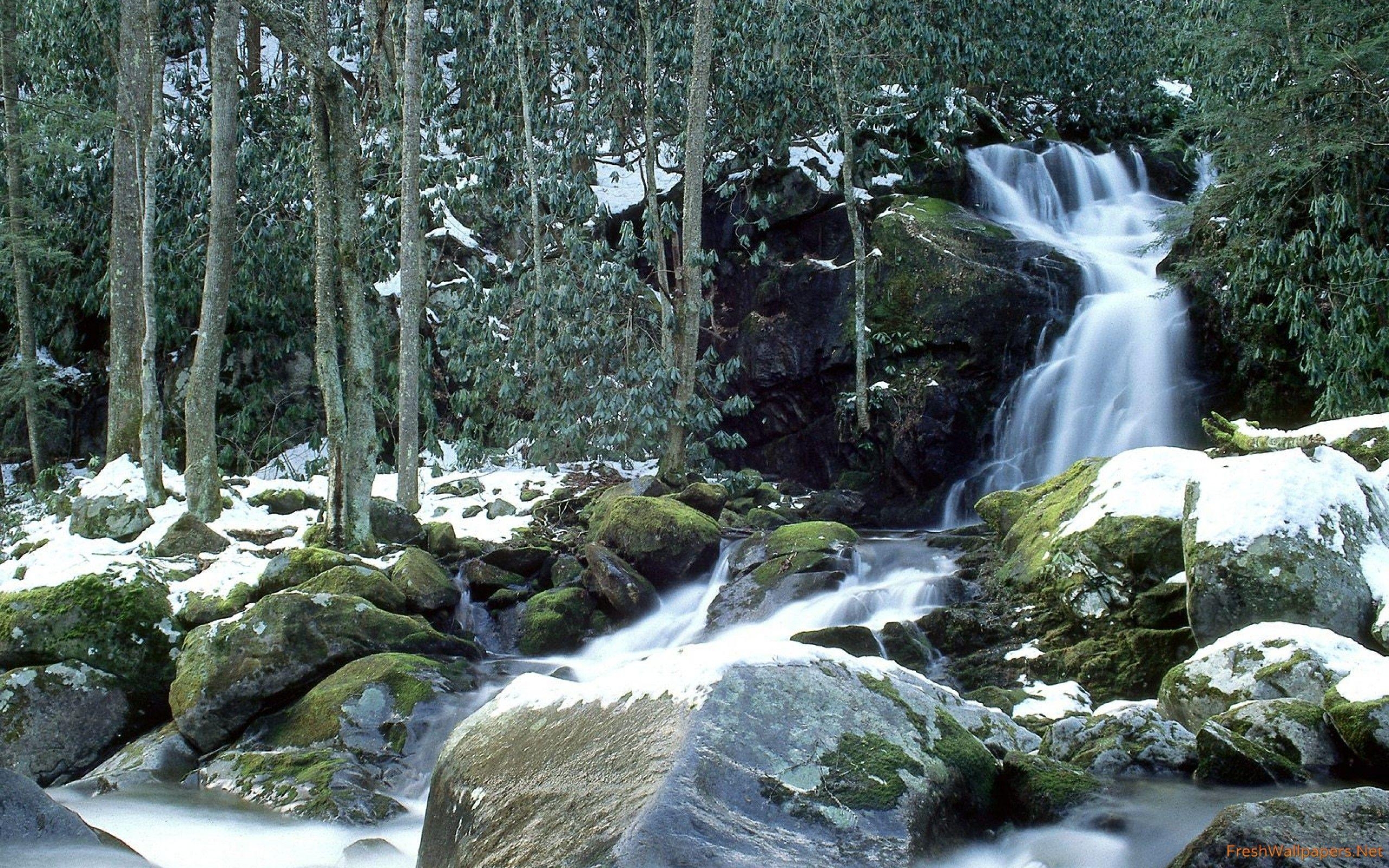 Mouse Creek Falls, Winter, Große Smoky Mountains, Natur, 2560x1600 HD Desktop