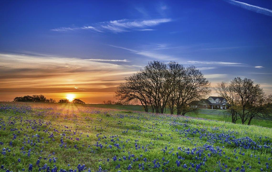 Texas, Landkauf, Rethink Rural, Blog, Landschaft, 1140x730 HD Desktop