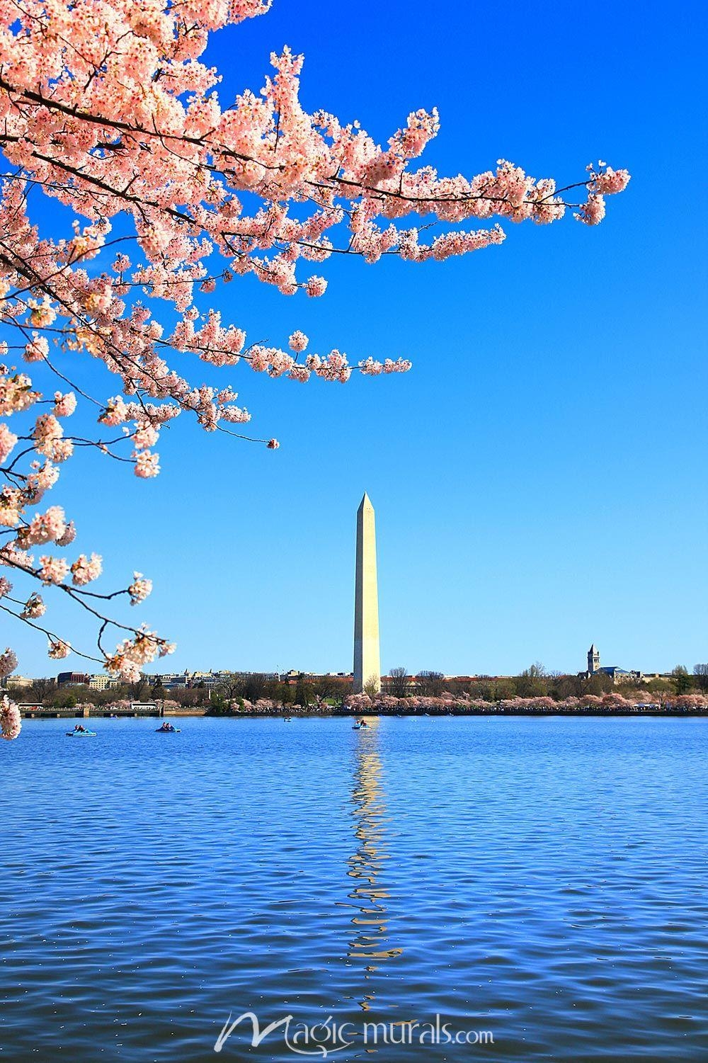 Washington Monument, Reisen, USA, Wahrzeichen, Obelisk, 1000x1510 HD Handy