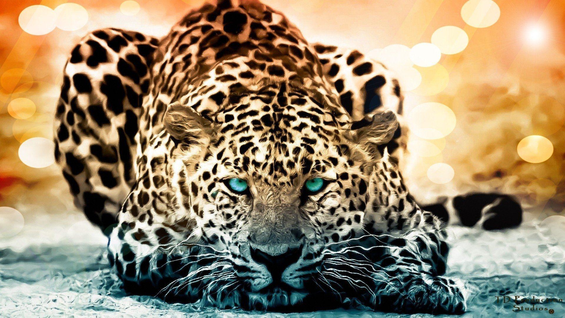 Jaguar, HD, Hintergrund, Wildtier, Natur, 1920x1080 Full HD Desktop