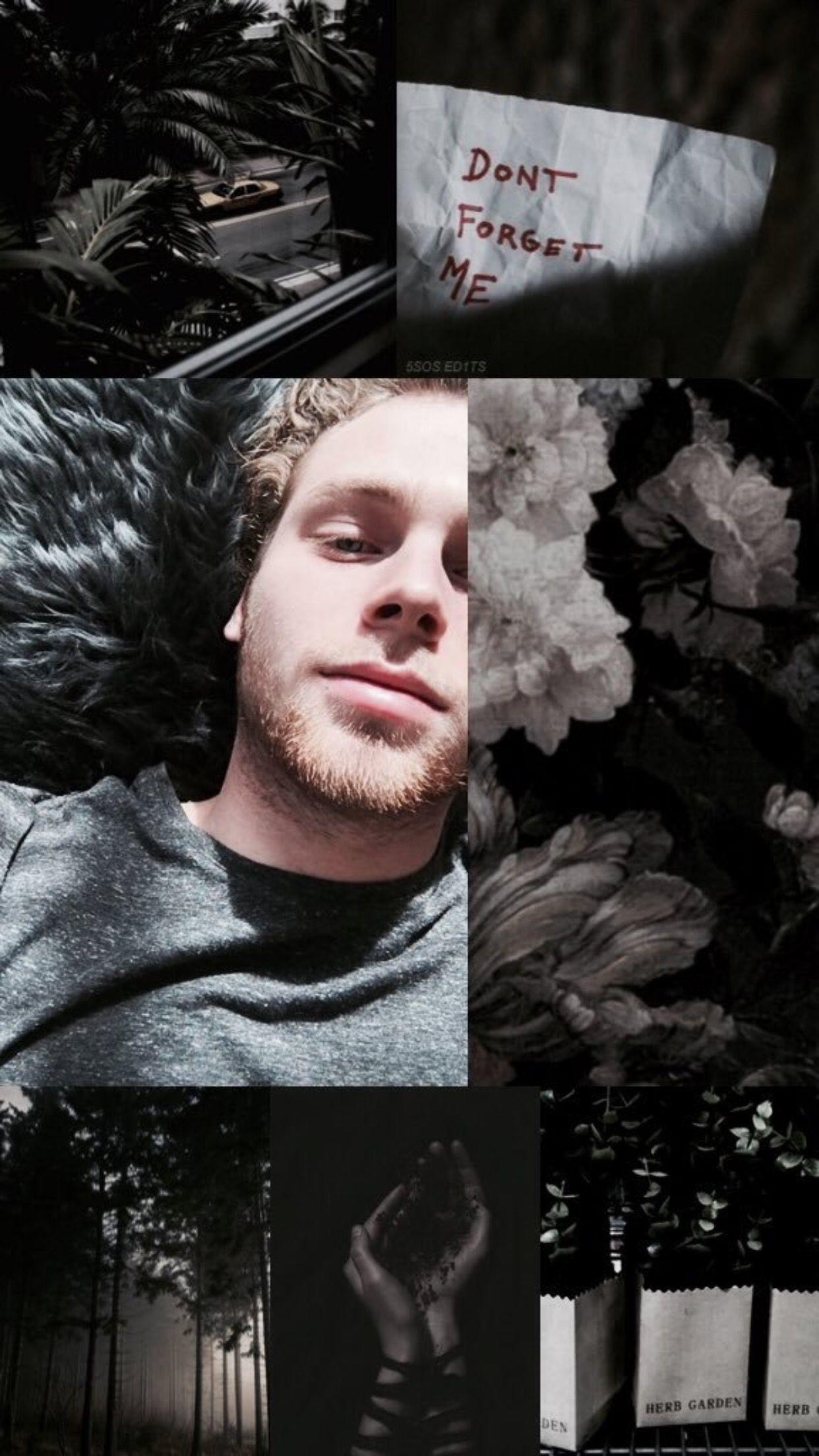 Luke Hemmings, 5SOS, Sommer, Michael Clifford, Musik, 1250x2210 HD Handy