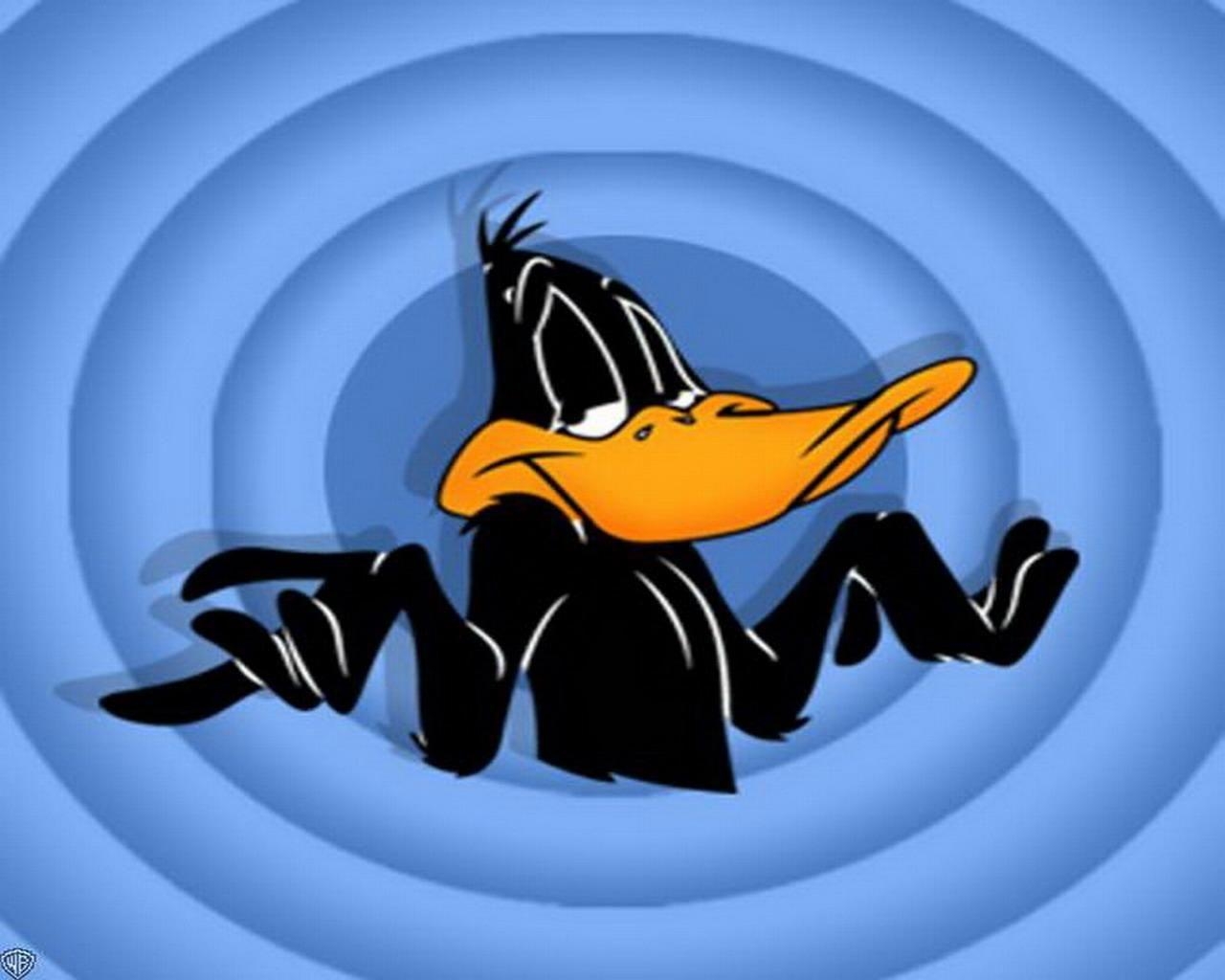 Daffy Duck, Looney Tunes, Comedy, Ente, Klassiker, 1280x1030 HD Desktop