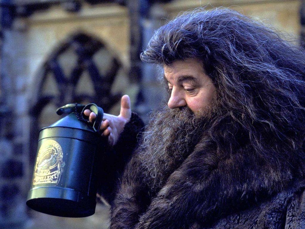 Hagrid, Harry Potter, Filme, Magie, Abenteuer, 1030x770 HD Desktop