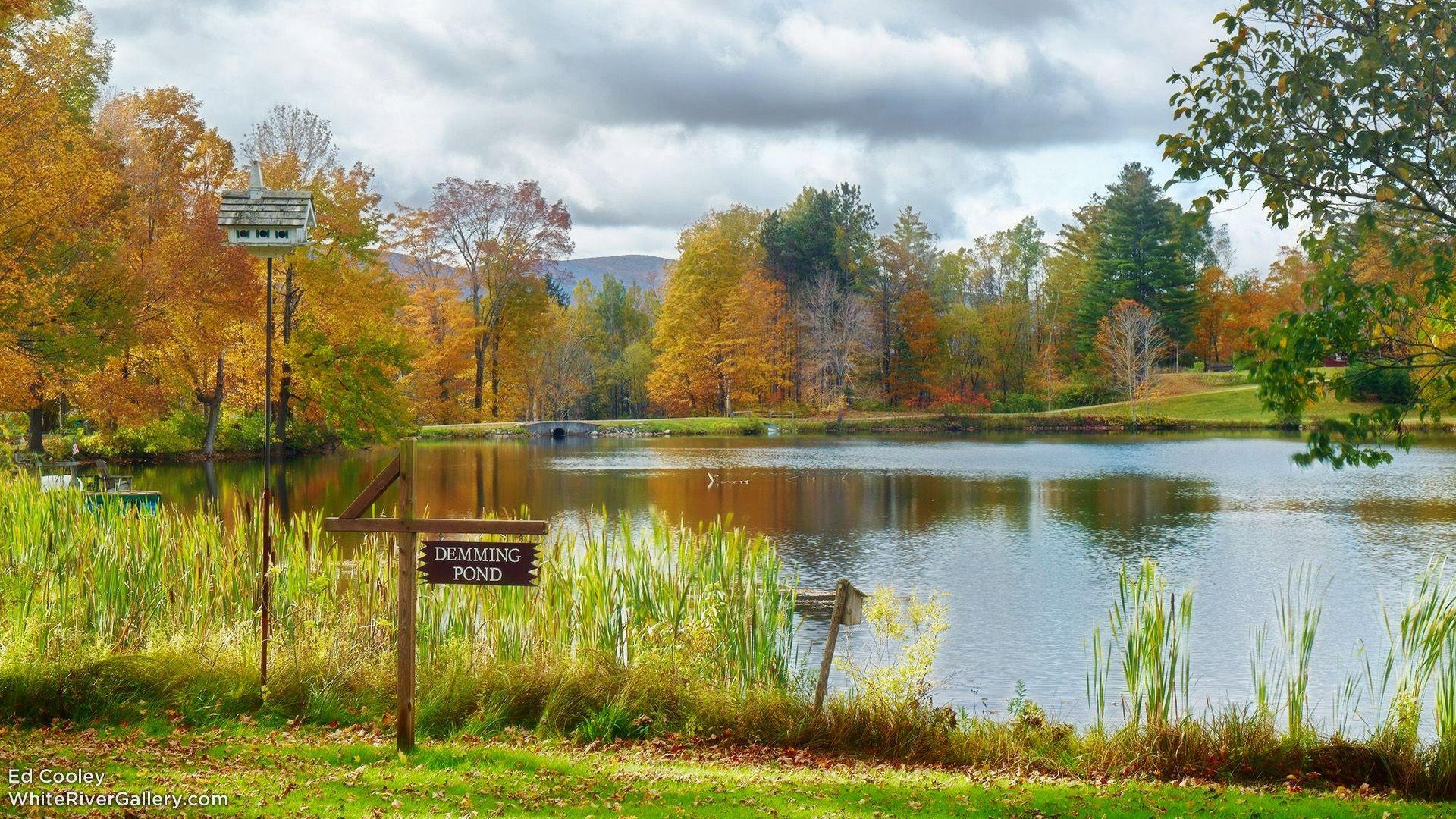 Teich, Hintergrund, Herbst, Vermont, Natur, 1920x1080 Full HD Desktop