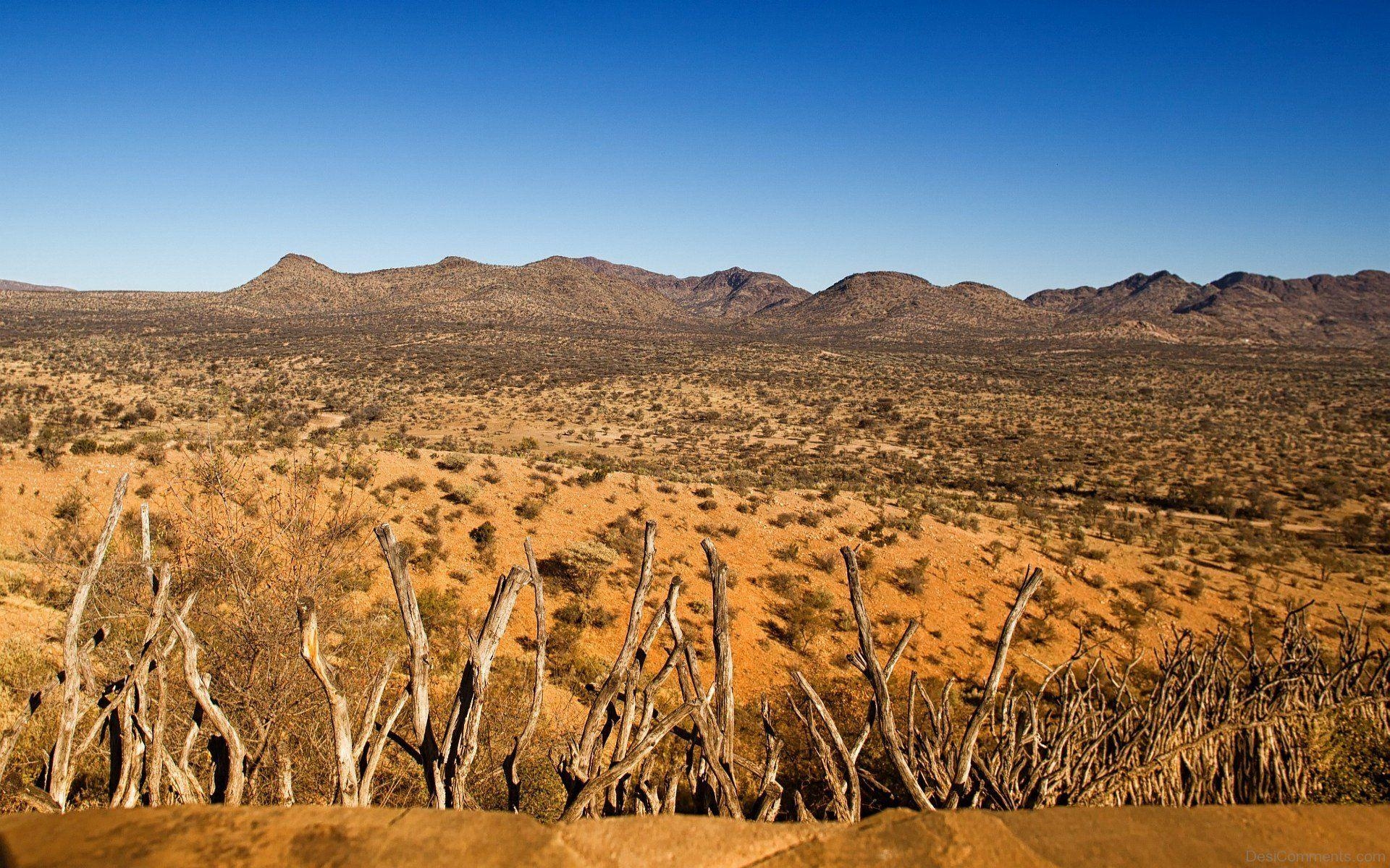 Kalahari-Wüste, Natur, Sand, Afrika, Wildnis, 1920x1200 HD Desktop