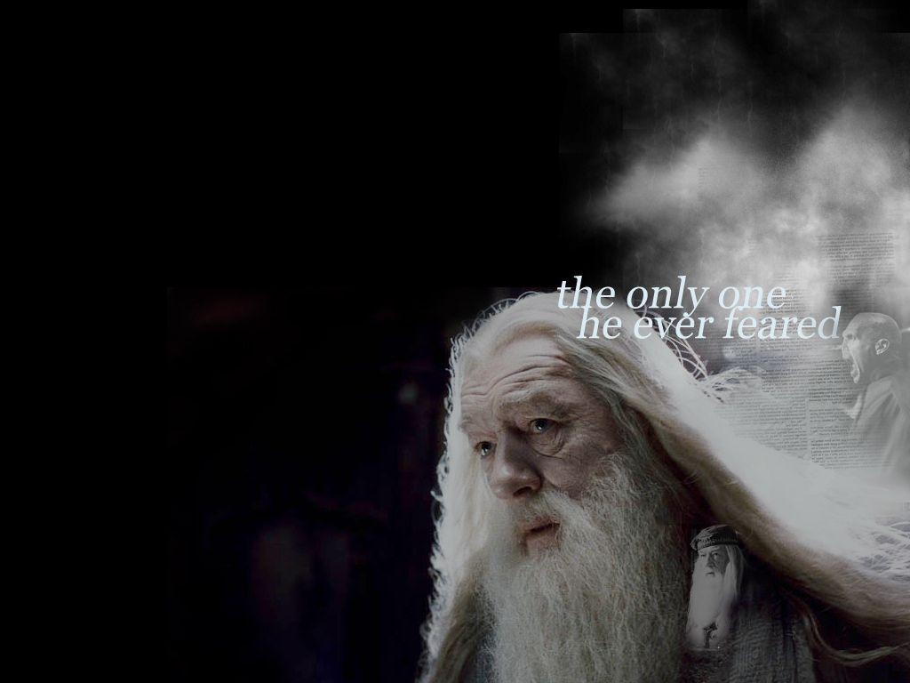 Albus Dumbledore, Bild, Hogwarts, Filme, Zauberer, 1030x770 HD Desktop