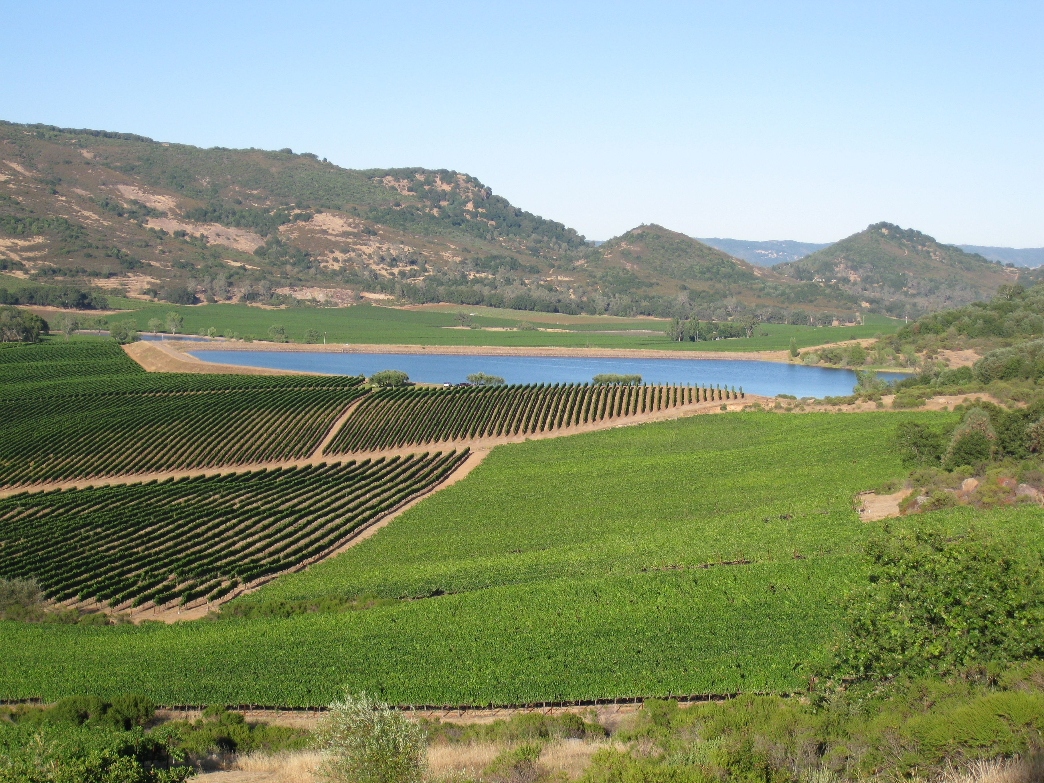 Atlas Peak, Weinberg, Napa, Kalifornien, Reisen, 3650x2740 4K Desktop