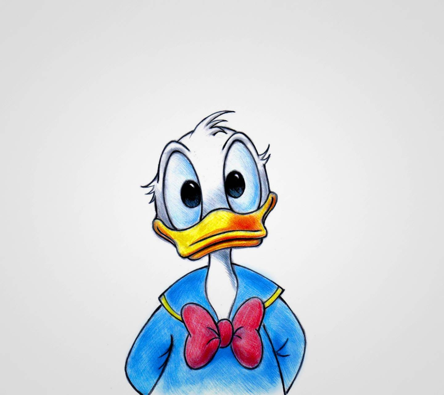 Donald Duck, Cartoons, Disney, Ente, Bild, 1440x1280 HD Desktop