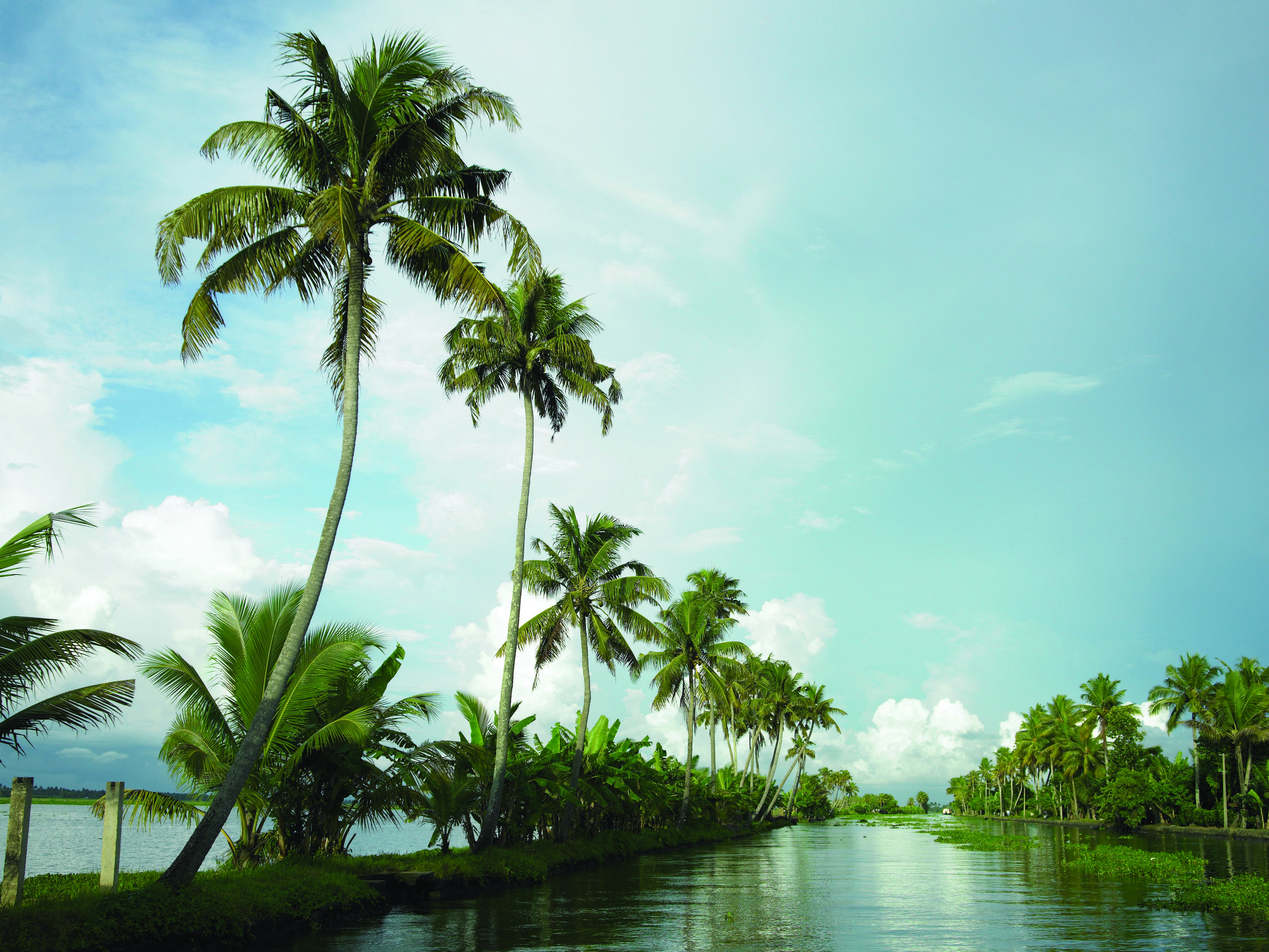 Kerala, Backwater, Fluss, Urlaub, Indien, 3310x2490 HD Desktop