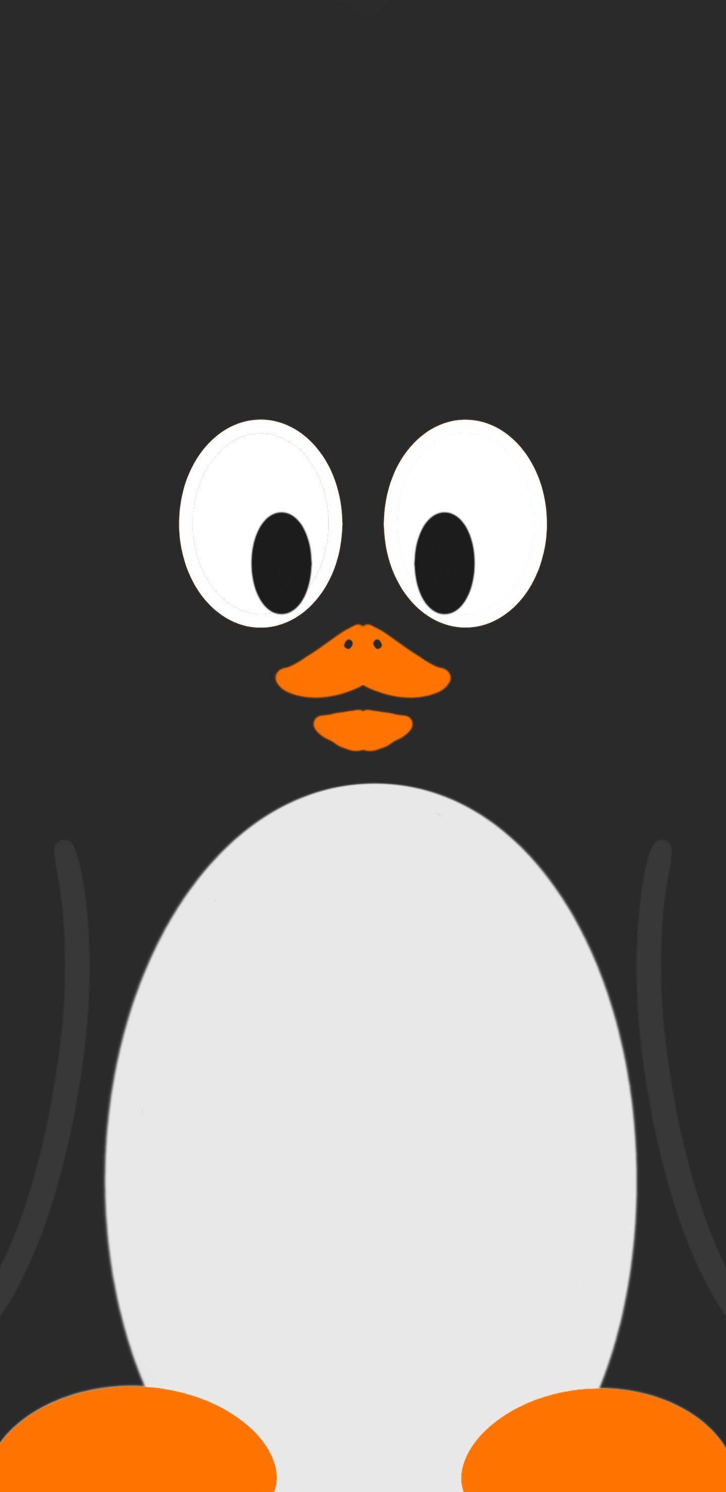 Pinguin, Tierbilder, HD, Wallpaper, Hintergrund, 1440x2960 HD Handy