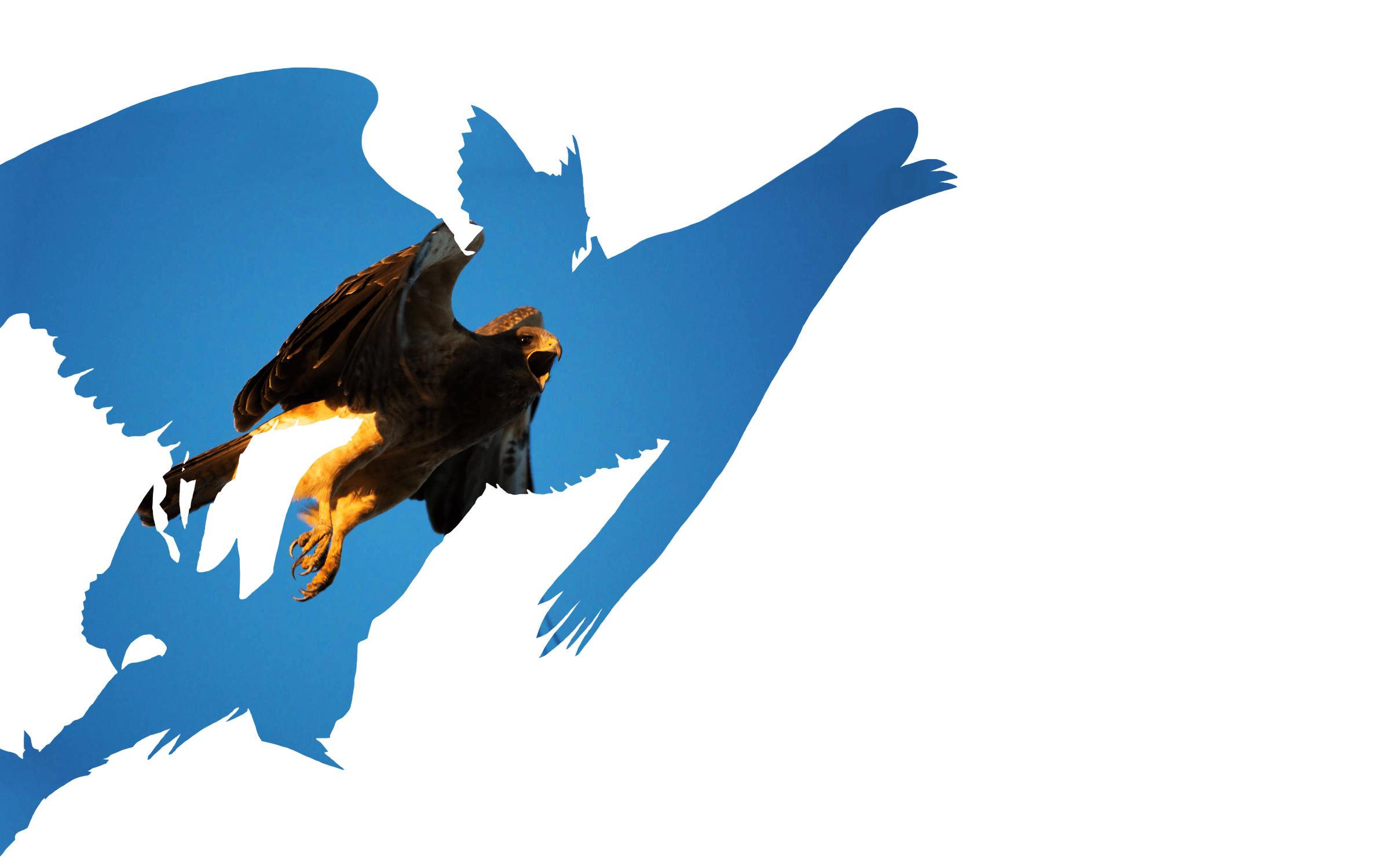 Hawkman Silhouette, Original, Teil 2, Kunst, Comics, 2400x1500 HD Desktop