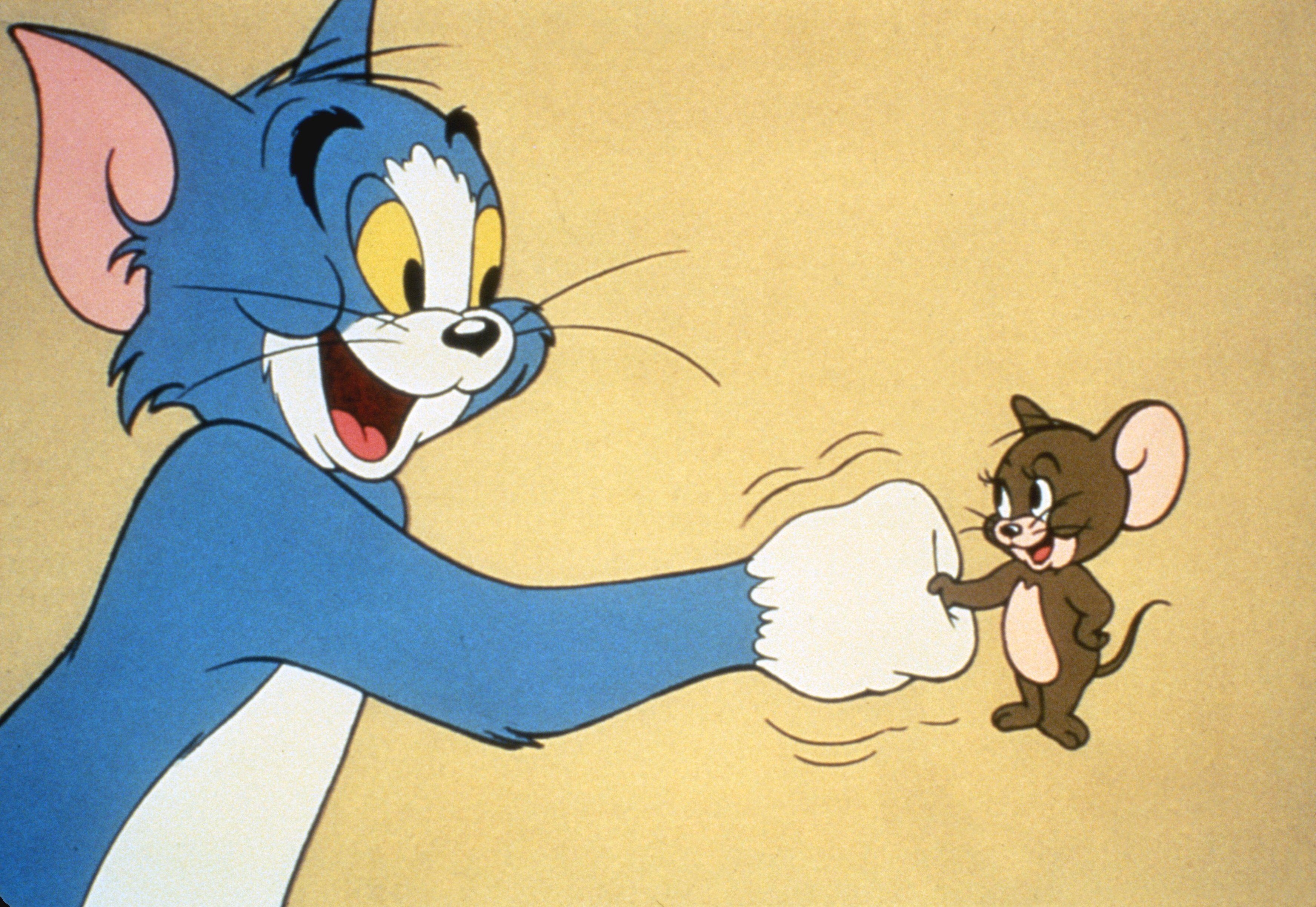 Tom und Jerry, Zeichentrick, Hochauflösend, Cartoon, Bild, 3490x2410 4K Desktop