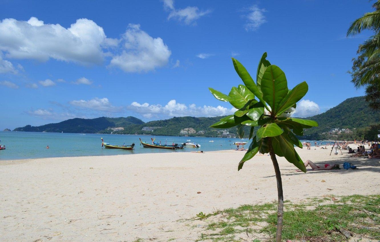 Meer, Strand, Insel, Dschungel, Thailand, 1340x850 HD Desktop