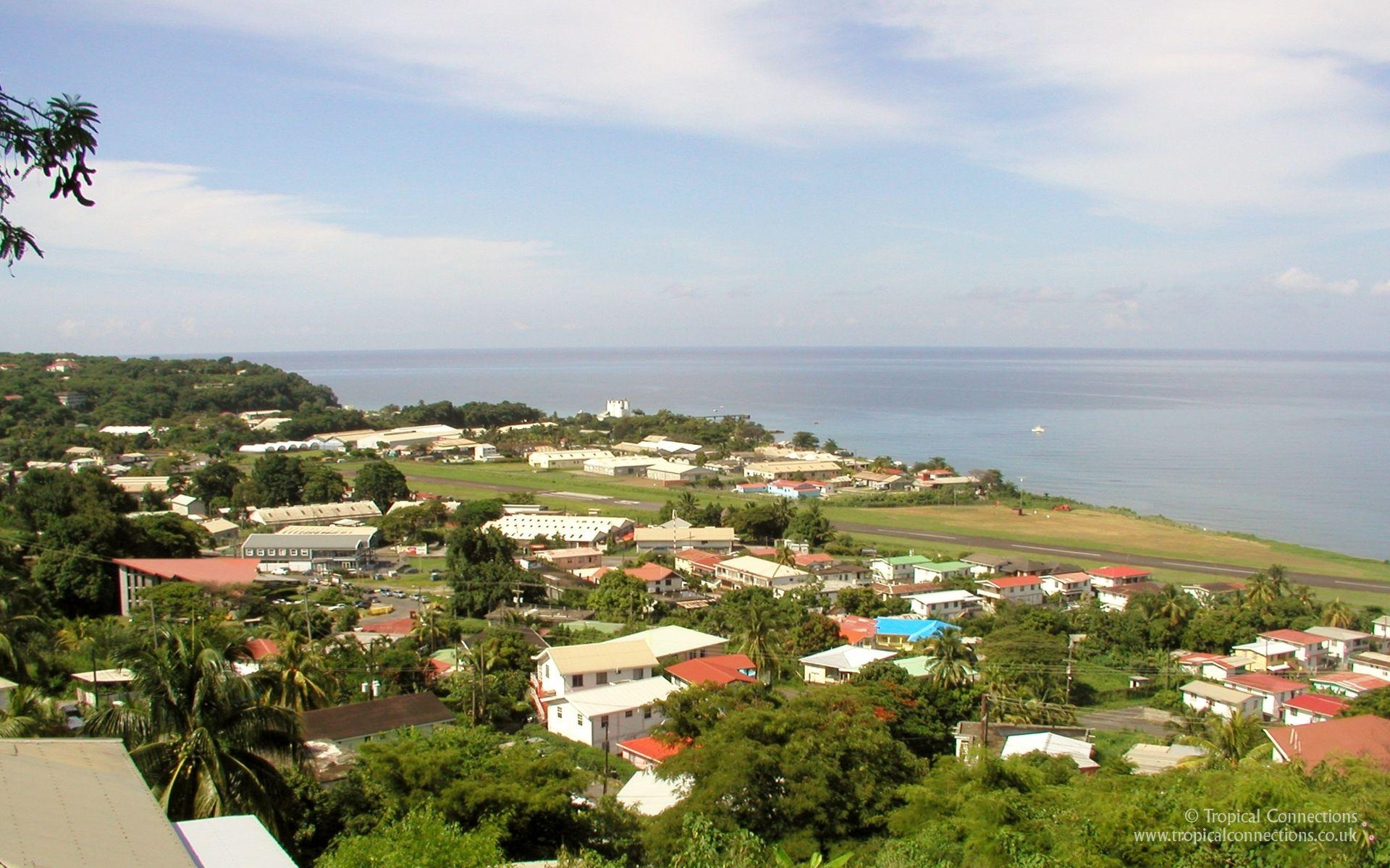 Dominica, Commonwealth, Blumen, Hintergrund, Karibik, 1920x1200 HD Desktop