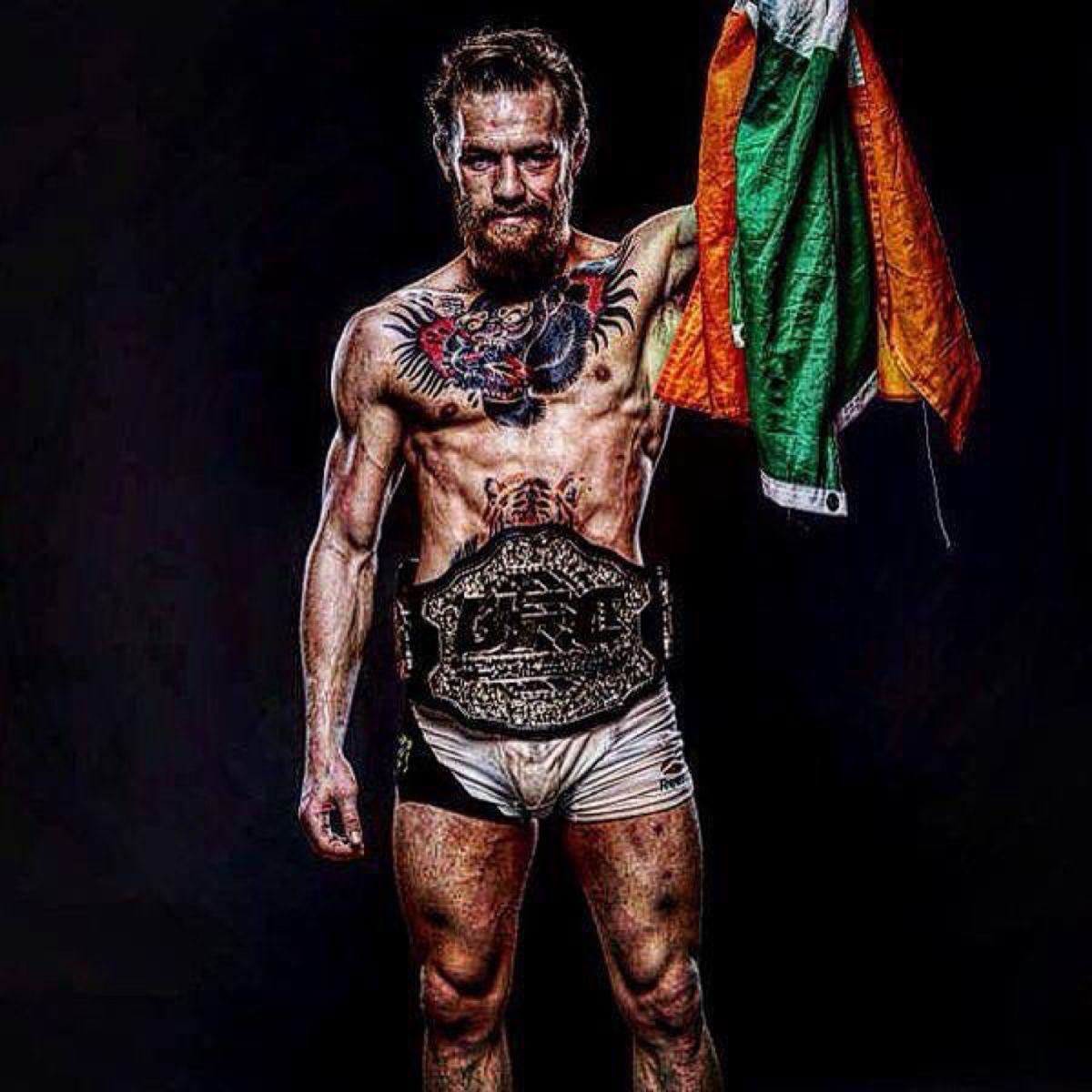 Conor McGregor, HD Bild, Motiv, UFC-Star, Kampfkunst, 1200x1200 HD Handy