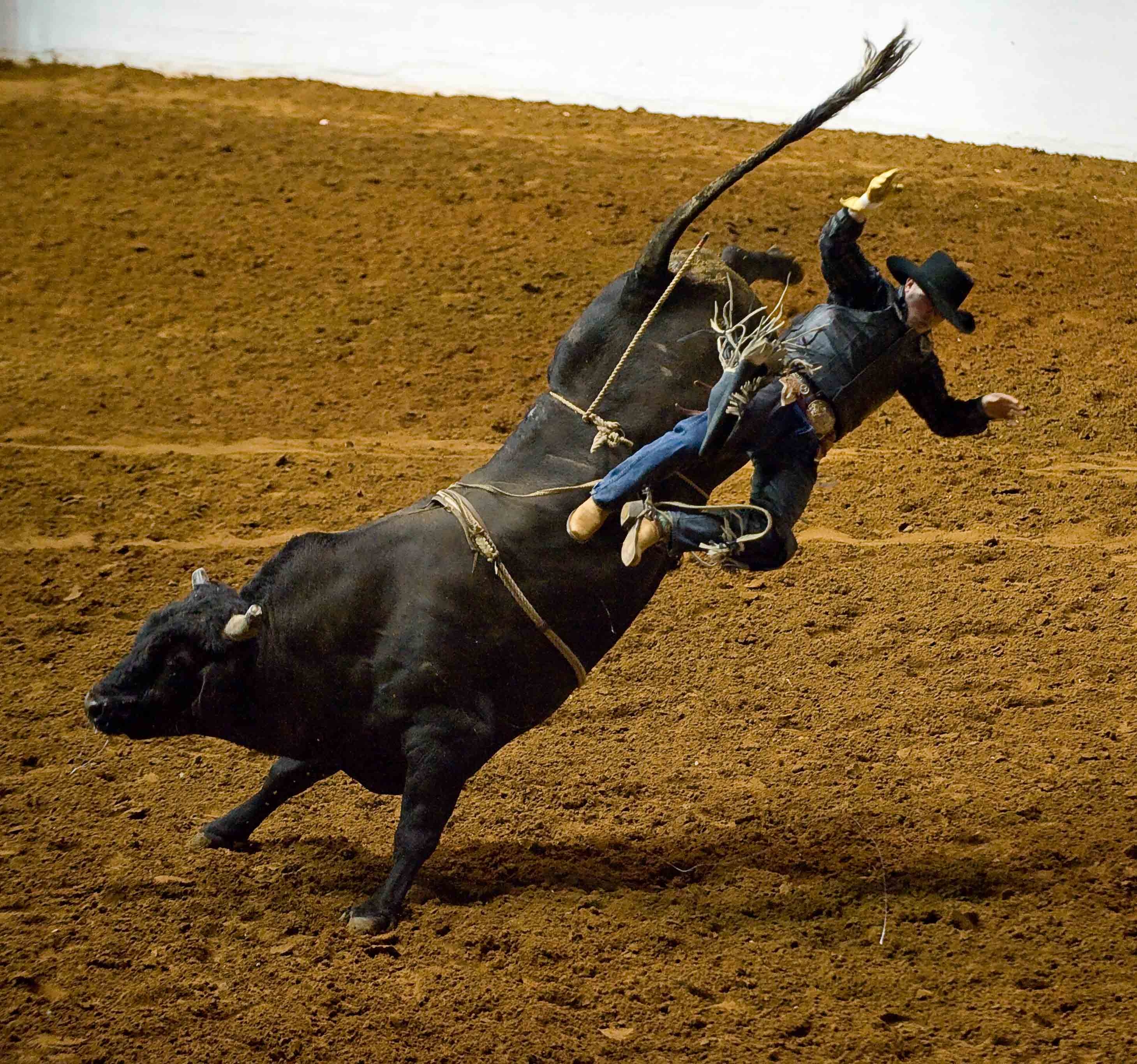 Desktop, Rodeo, Sport, HD, Bild, 2920x2740 HD Desktop