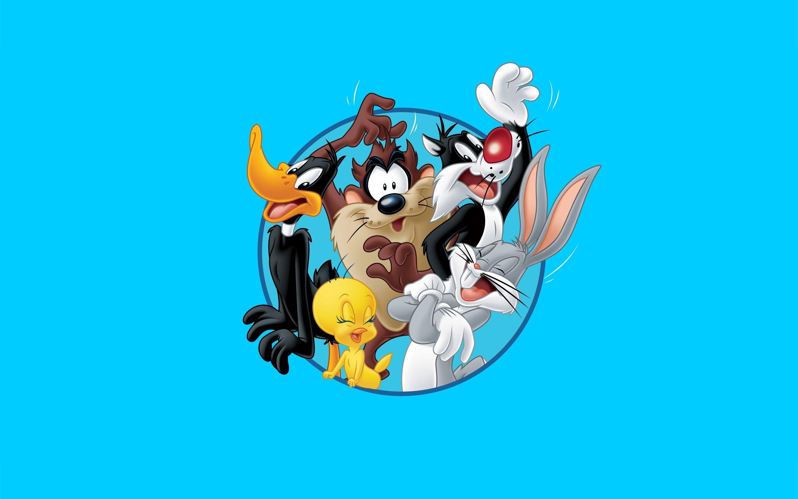 Looney Tunes, Cartoons, Hohe Definition, Bugs Bunny, Tweety, 2560x1600 HD Desktop