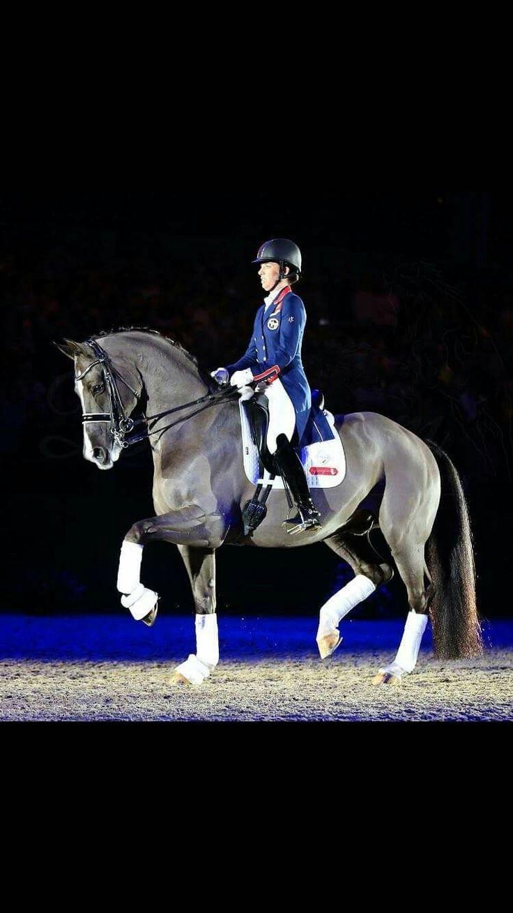 Charlotte, Valegro, Dressur, großartiges Paar, Reitsport, 740x1310 HD Handy