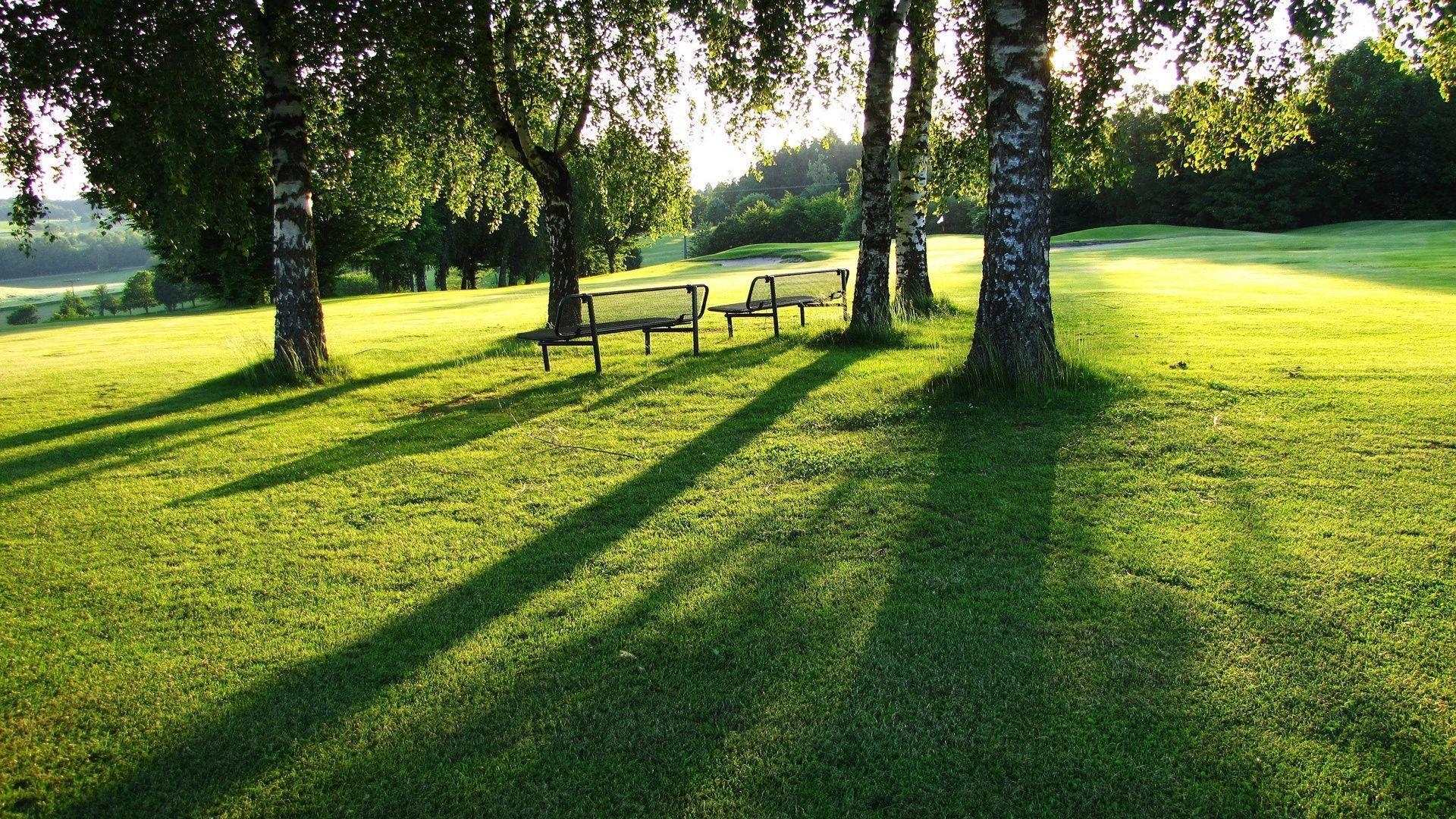 Park, Natur, Grünflächen, Bäume, Erholung, 1920x1080 Full HD Desktop