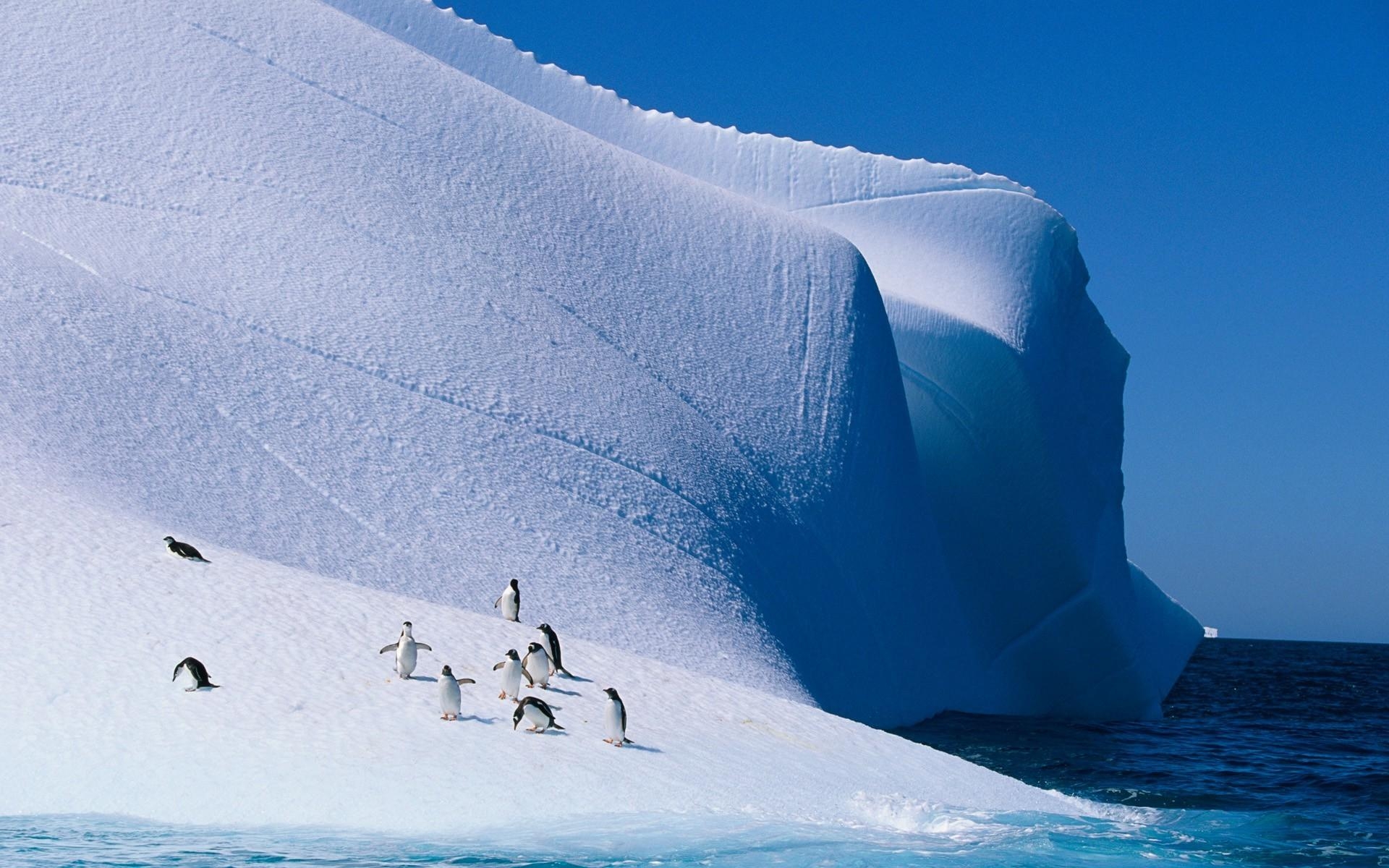 Eisberg, Natur, Fotografien, Ozean, Meer, 1920x1200 HD Desktop