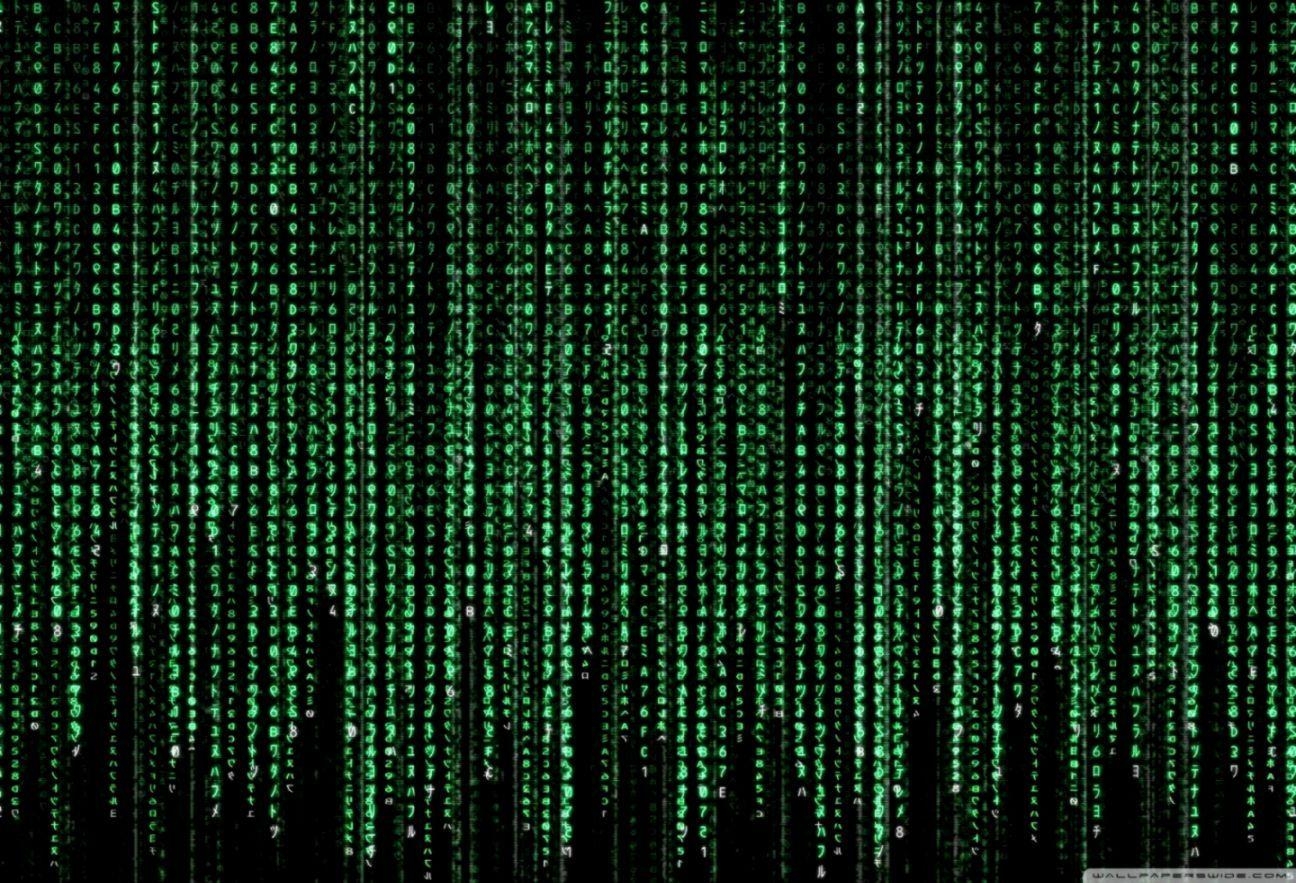 Matrix, Live, Animation, Hintergrund, Kult, 1300x890 HD Desktop