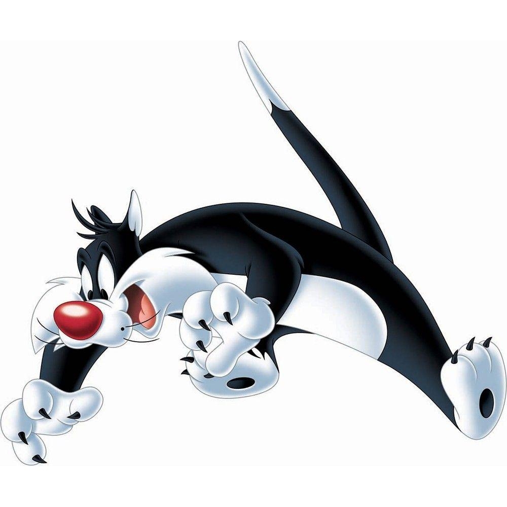 Sylvester der Kater, Cartoon, Looney Tunes, Hintergrund, Bild, 1000x1000 HD Handy