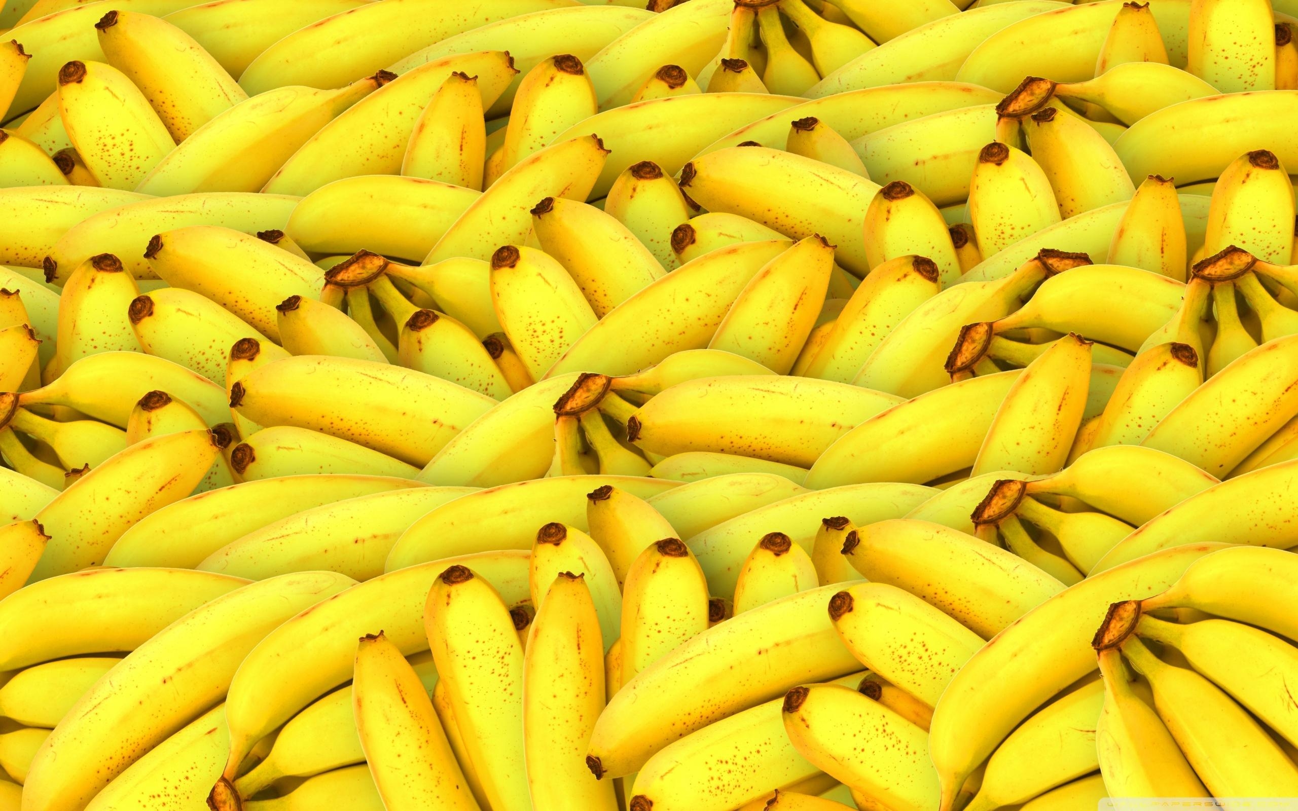 Banane, Bild, 1600, Hintergrund, Lebensmittel, 2560x1600 HD Desktop