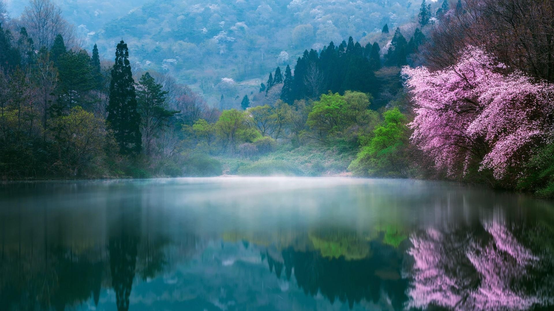 See, Südkorea, Natur, Landschaft, Spiegelung, 1920x1080 Full HD Desktop