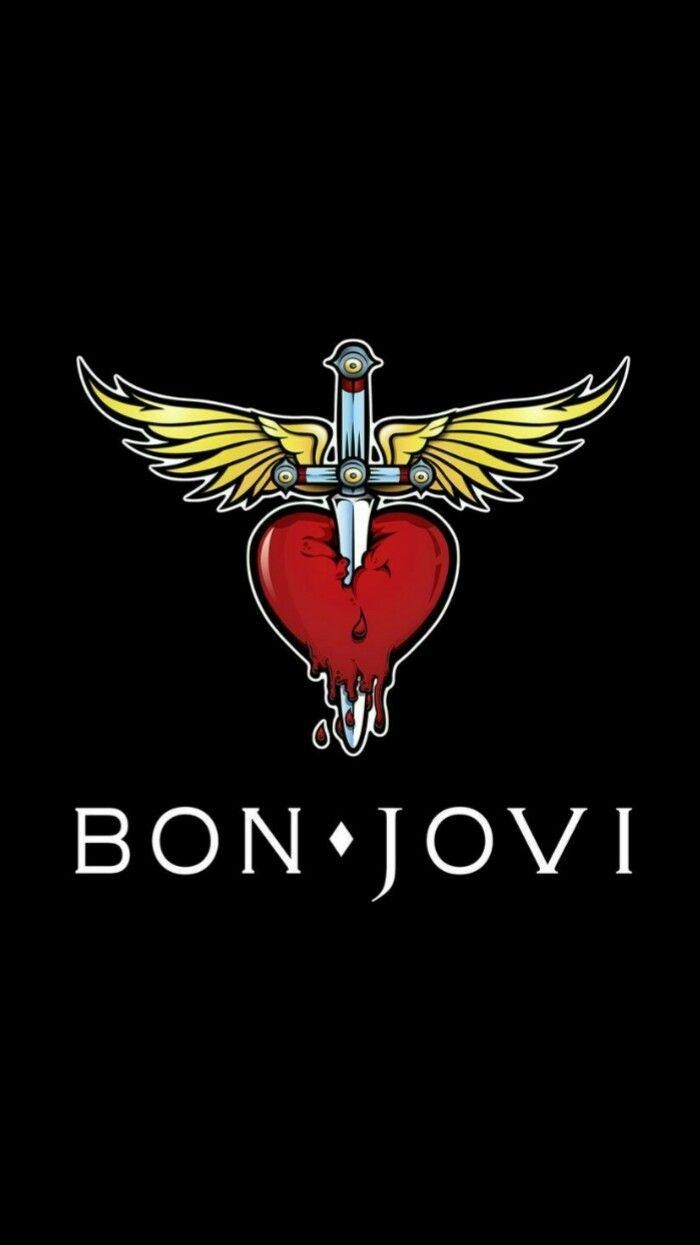 Bon Jovi, Rockmusik, Lieblingsband, Konzert, Hits, 700x1250 HD Handy