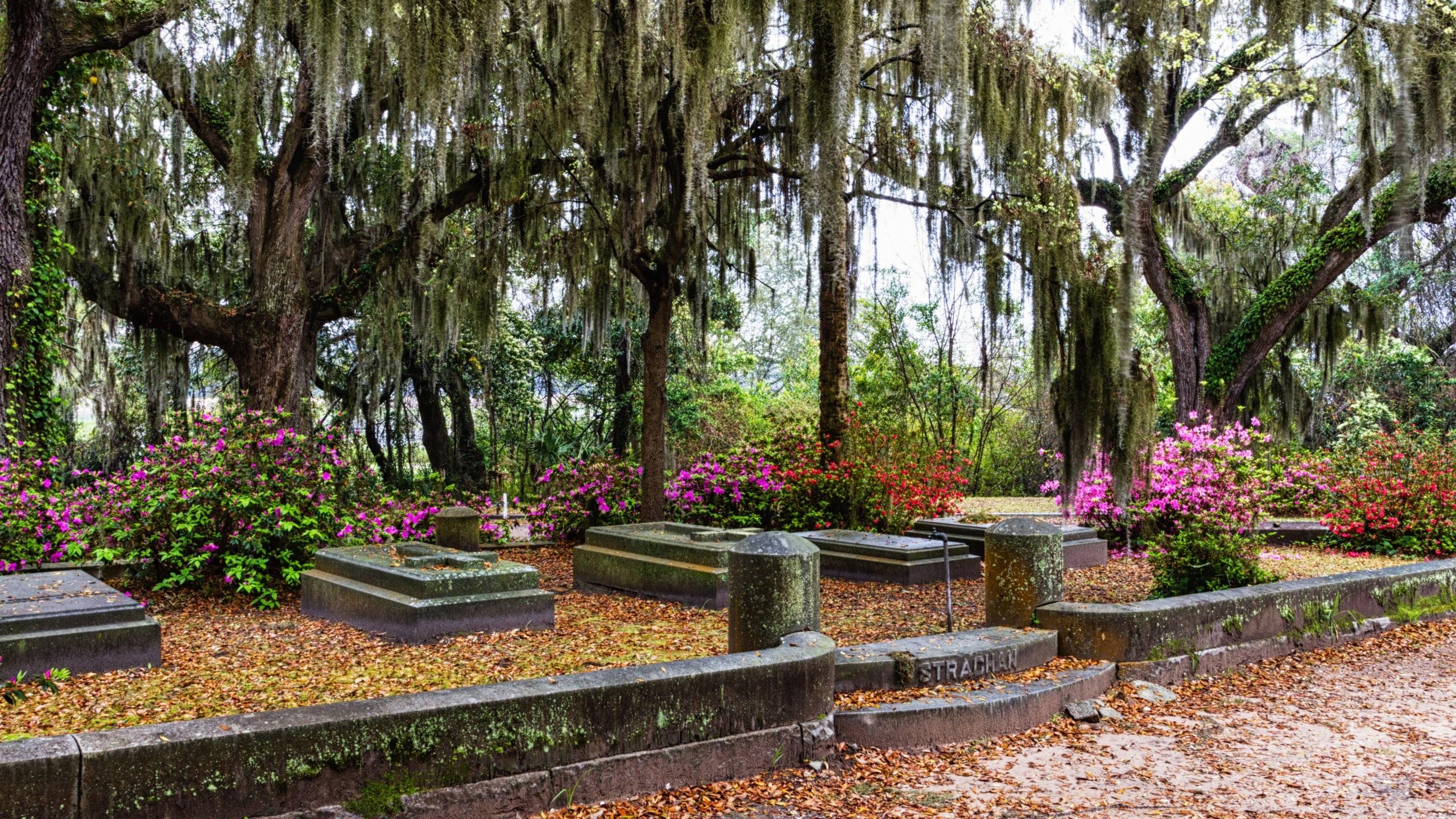 Bonaventure Friedhof, Savannah, Geschichte, Grabsteine, Tourismus, 2560x1440 HD Desktop