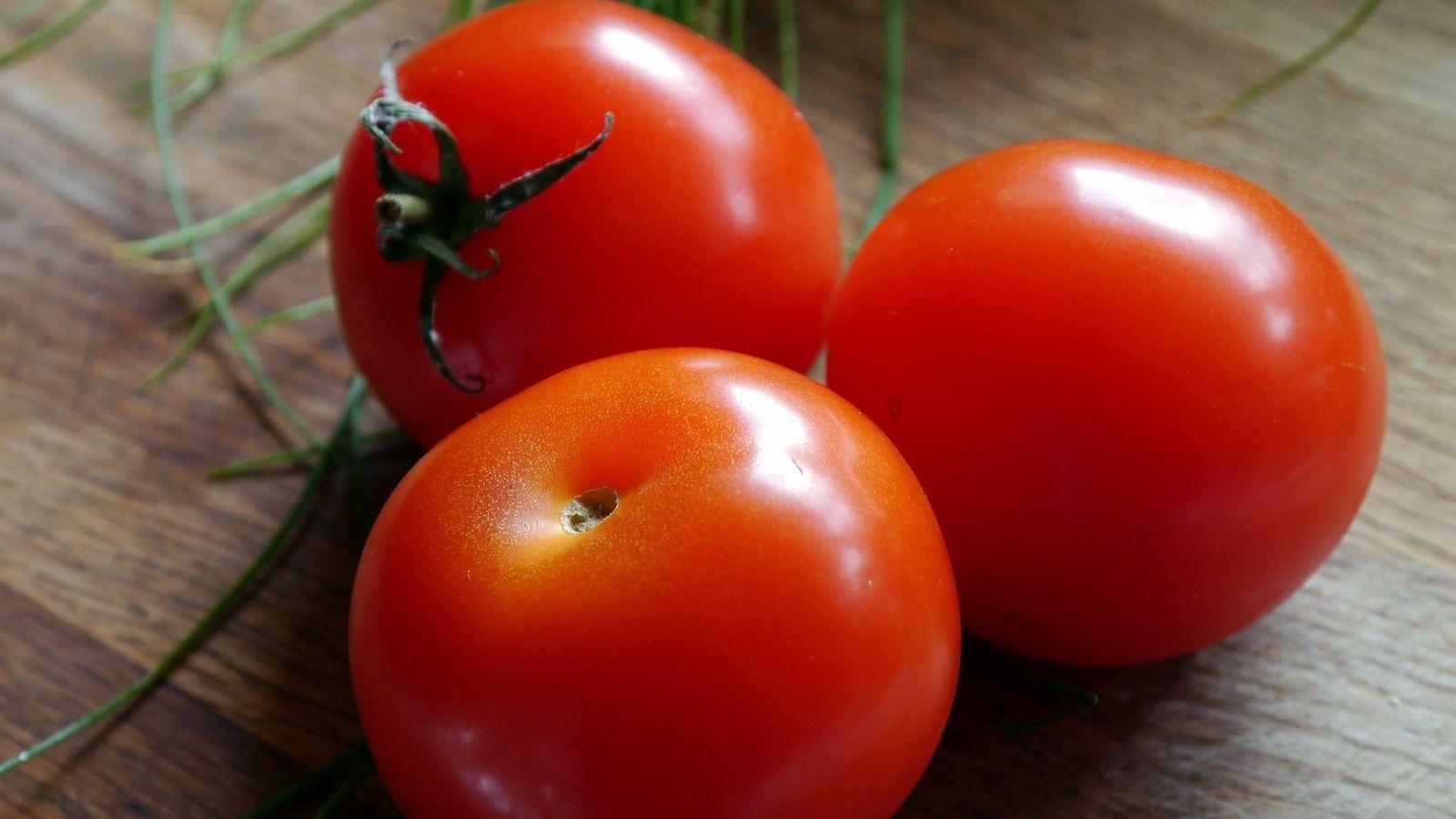 Tomaten, Reife Tomate, Essen, Herunterladen, Bild, 1600x900 HD Desktop