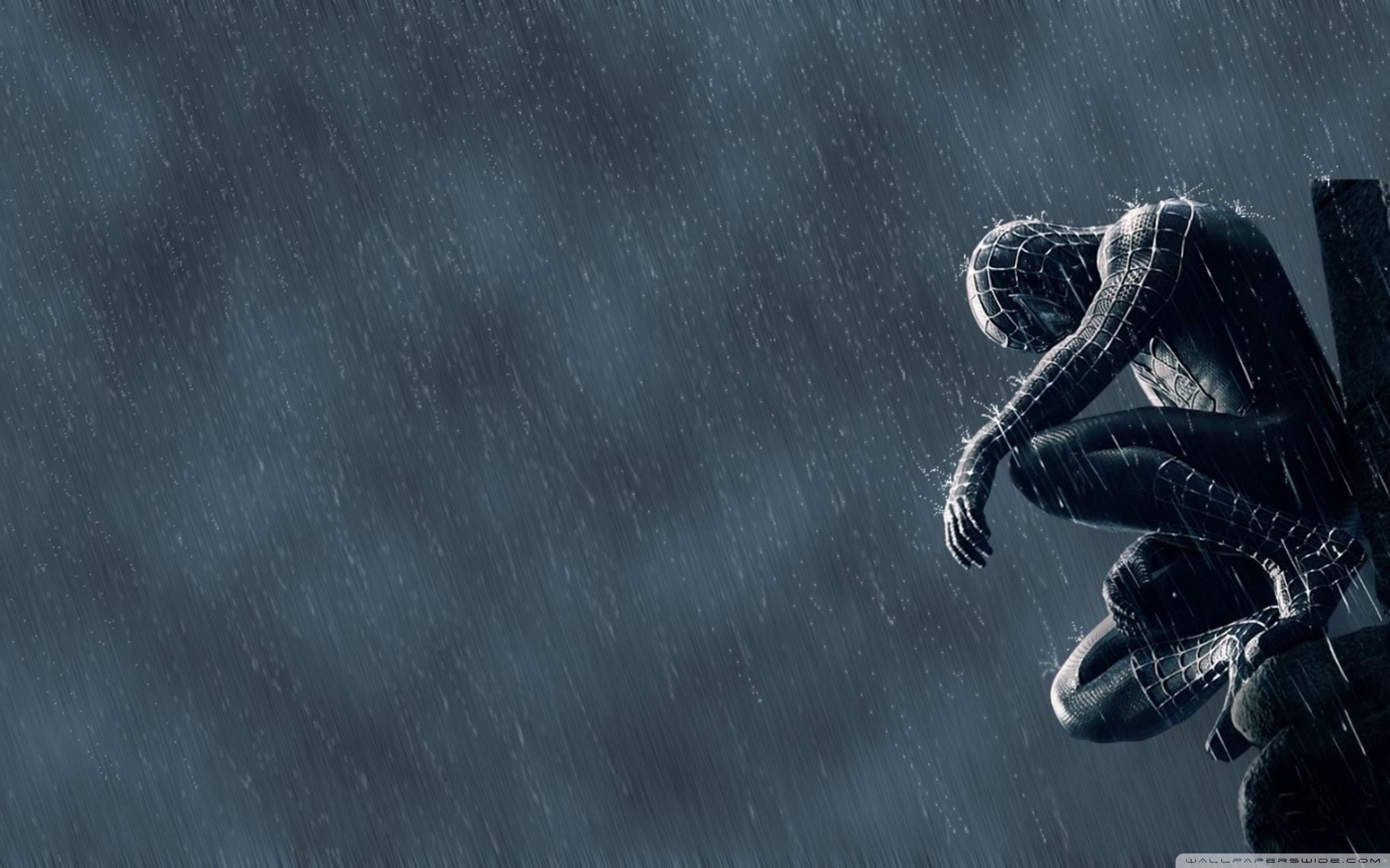 Spiderman, Regen, 4K, HD, Hintergrund, 2560x1600 HD Desktop