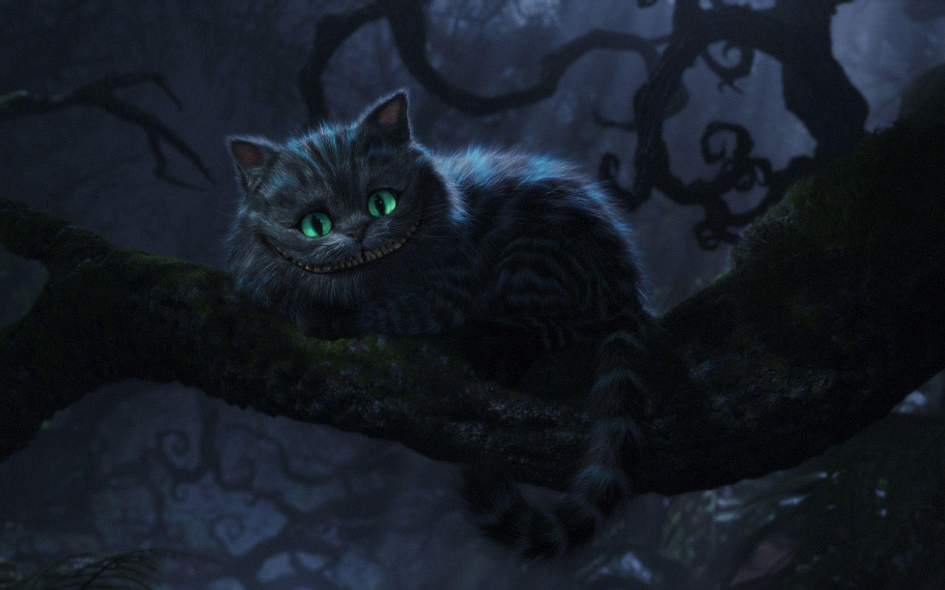 Cheshire Cat, Cartoon, Grinsekatze, Alice, Wunderland, 1920x1200 HD Desktop