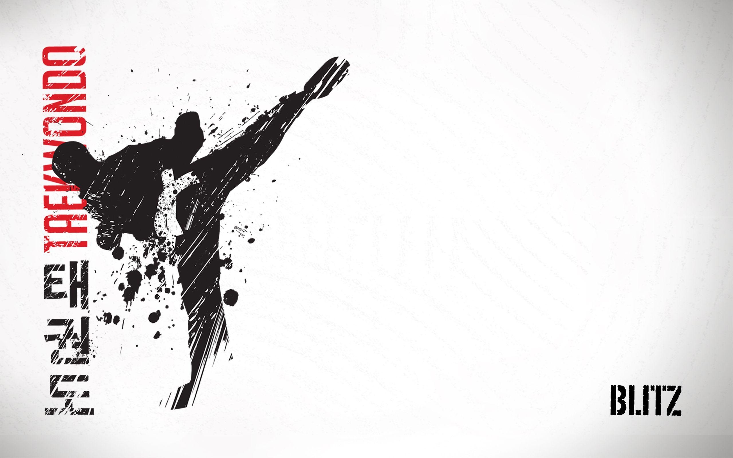 Blitz, Taekwondo, 2560x1600, Martial Arts, HD, 2560x1600 HD Desktop