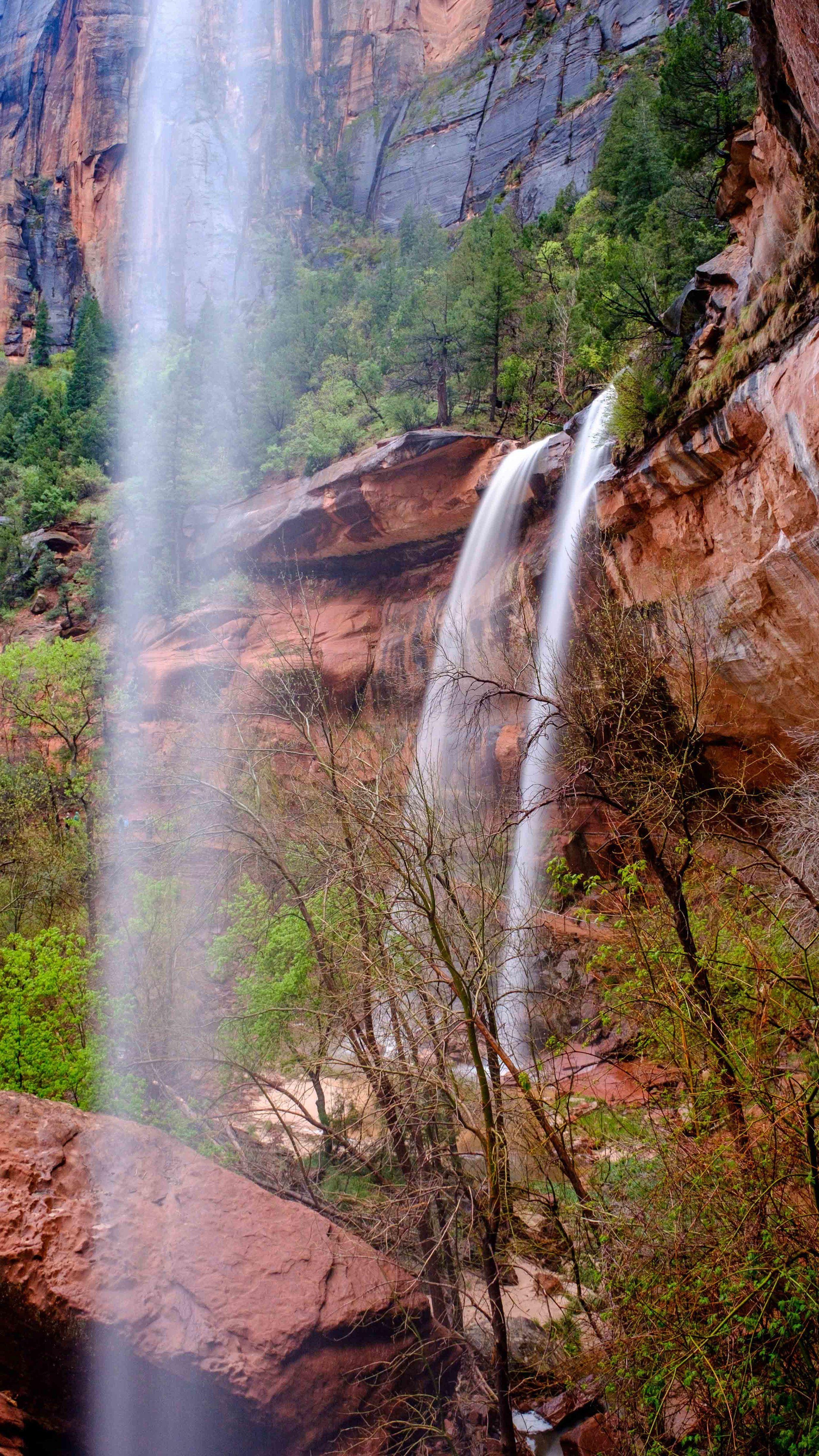 Zion Nationalpark, Reisen, mobile Hintergrund, Natur, Utah, 2500x4450 4K Handy