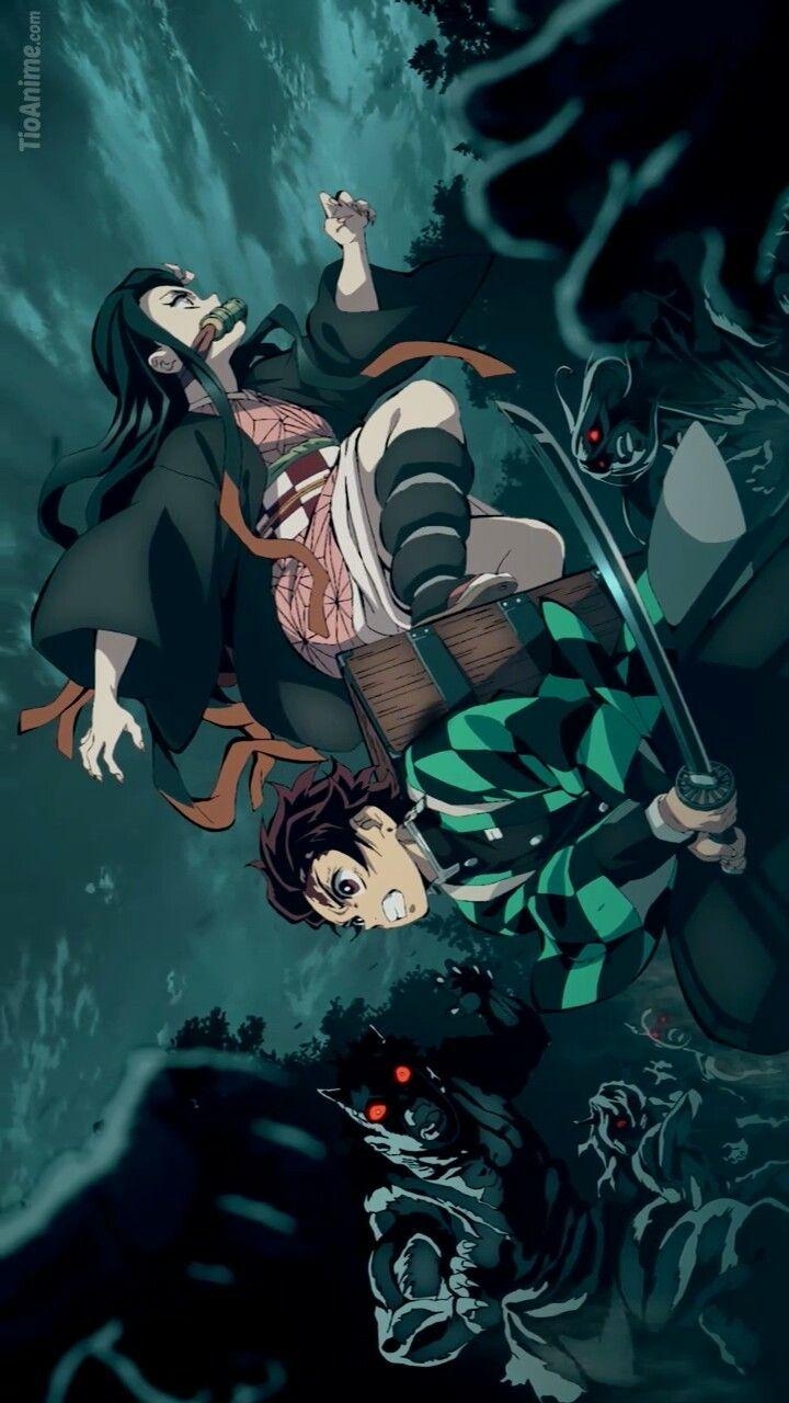 Demon Slayer, Naomi Shirone, Anime, Kimetsu No Yaiba, Hintergrund, 720x1280 HD Handy