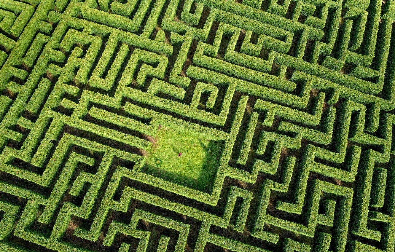 Grüne Pflanzen, Person, Labyrinth, Bild, Natur, 1340x850 HD Desktop