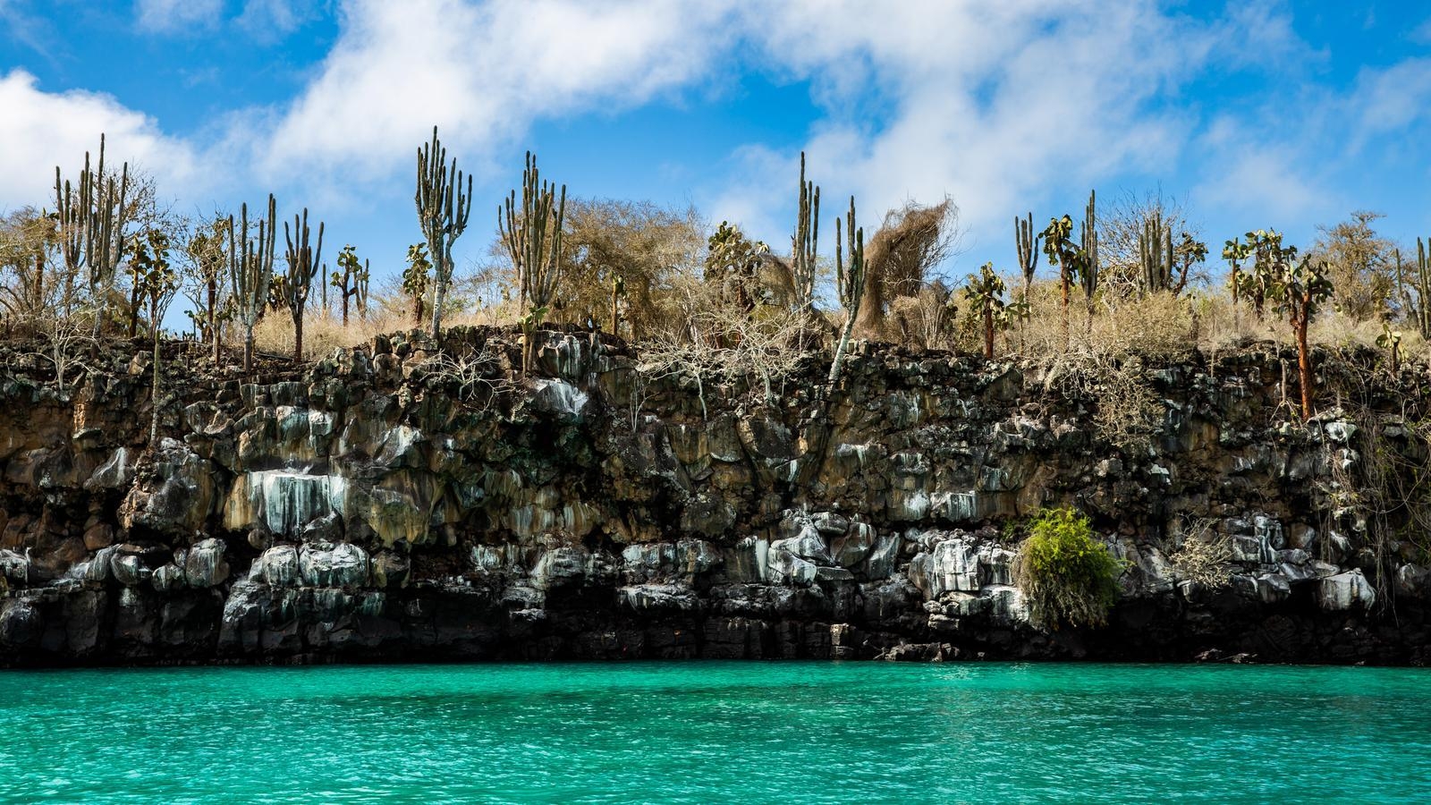 Galapagos-Abenteuer, Reisen, Natur, Entdeckung, Inseln, 1600x900 HD Desktop