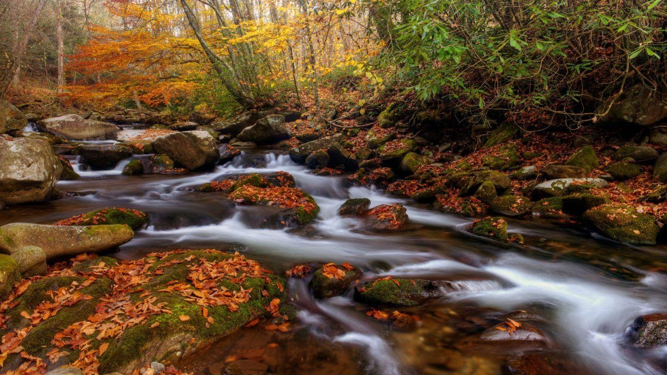 Hintergrund, Kabinen, Nationalpark, Great Smoky Mountains, Fotografie, 1370x770 HD Desktop